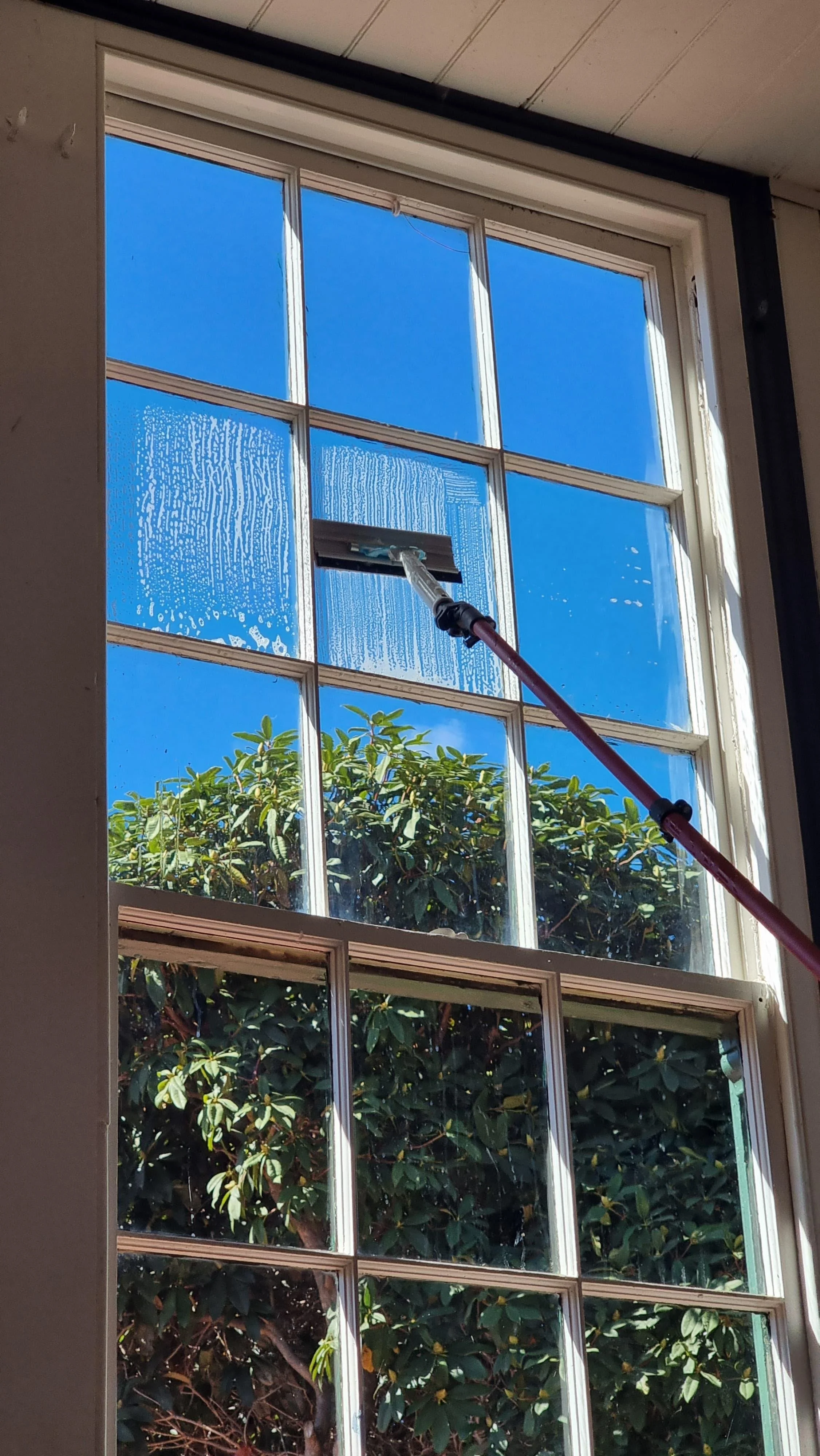 cleaner pad to leave sparkling windows in a french window Gold Coast