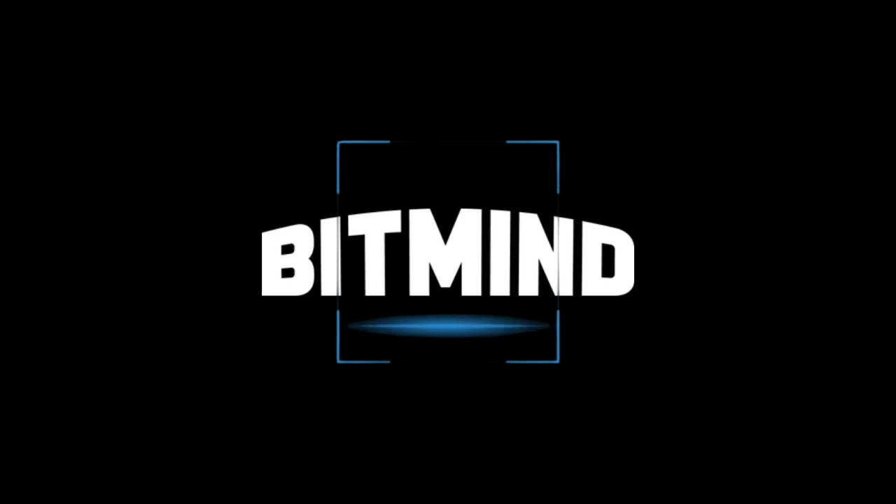 BitMind Investment Memo