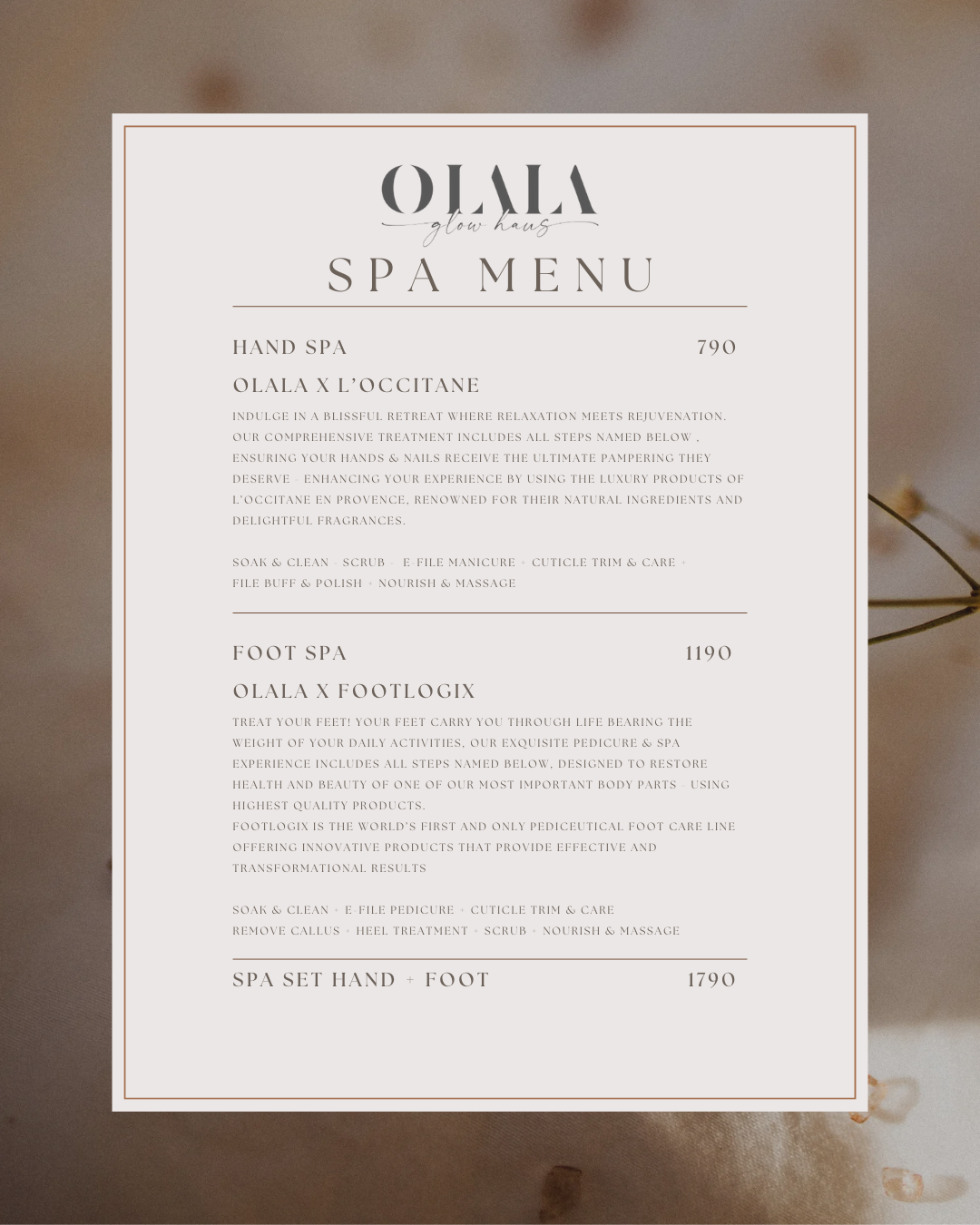 3 hand and foot spa.png