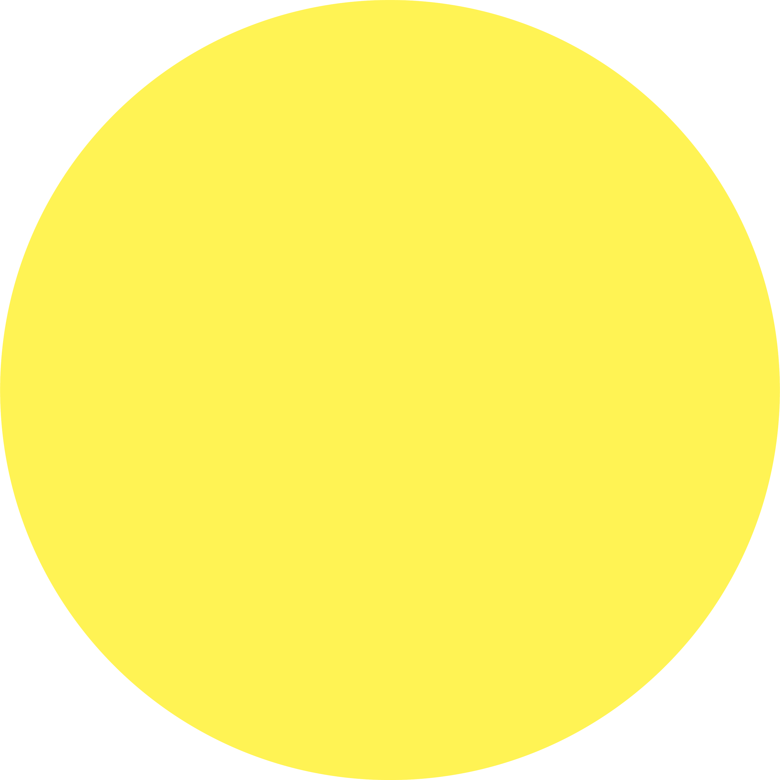 Yellow circle on a black background.