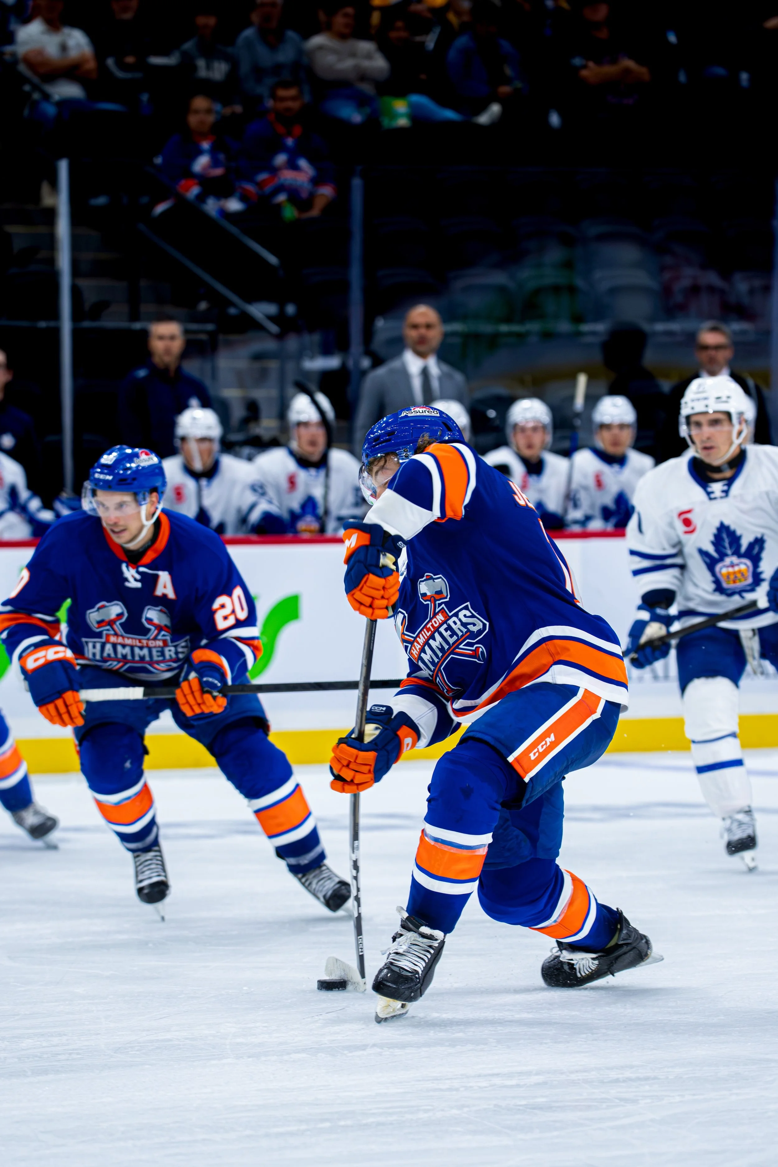 Hockey players from the Hamilton Hammers team in blue jerseys and an opposing team in white jerseys are playing on the ice rink with spectators and team staff watching in the background.