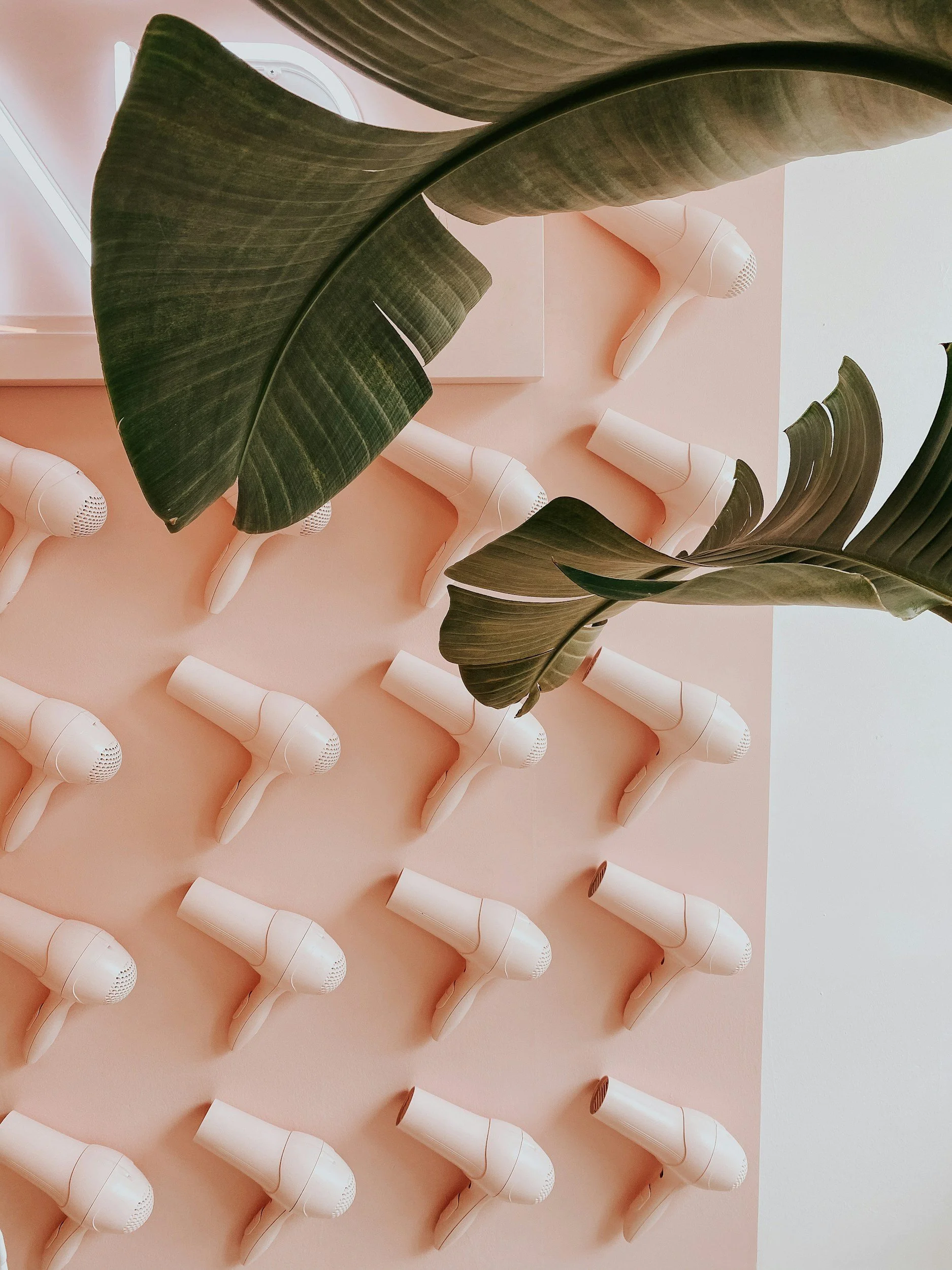 Multiple white hairdryers mounted on a pink wall with large green leaves in the foreground.