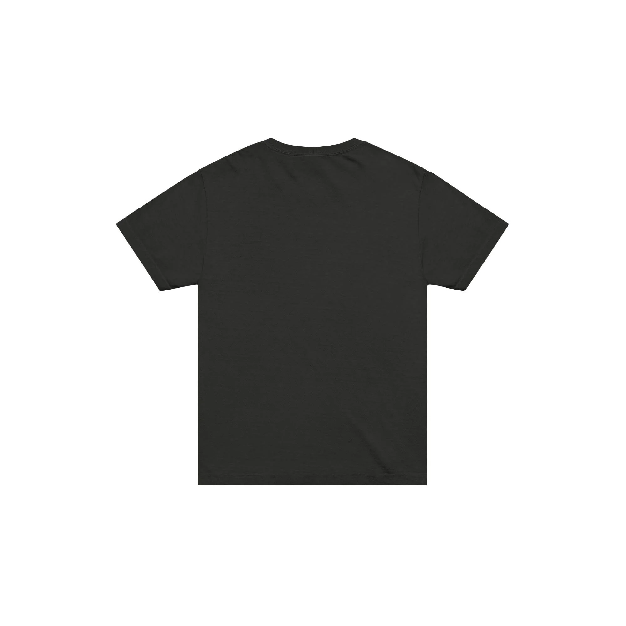 unisex-oversized-garment-dyed-t-shirt-washed-black-back-6a12c4553d26f.jpg