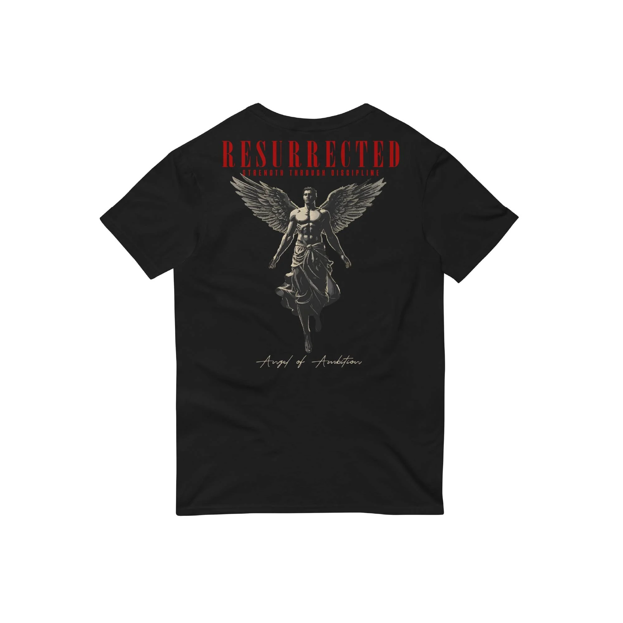 ANGEL OF AMBITION PUMP COVER