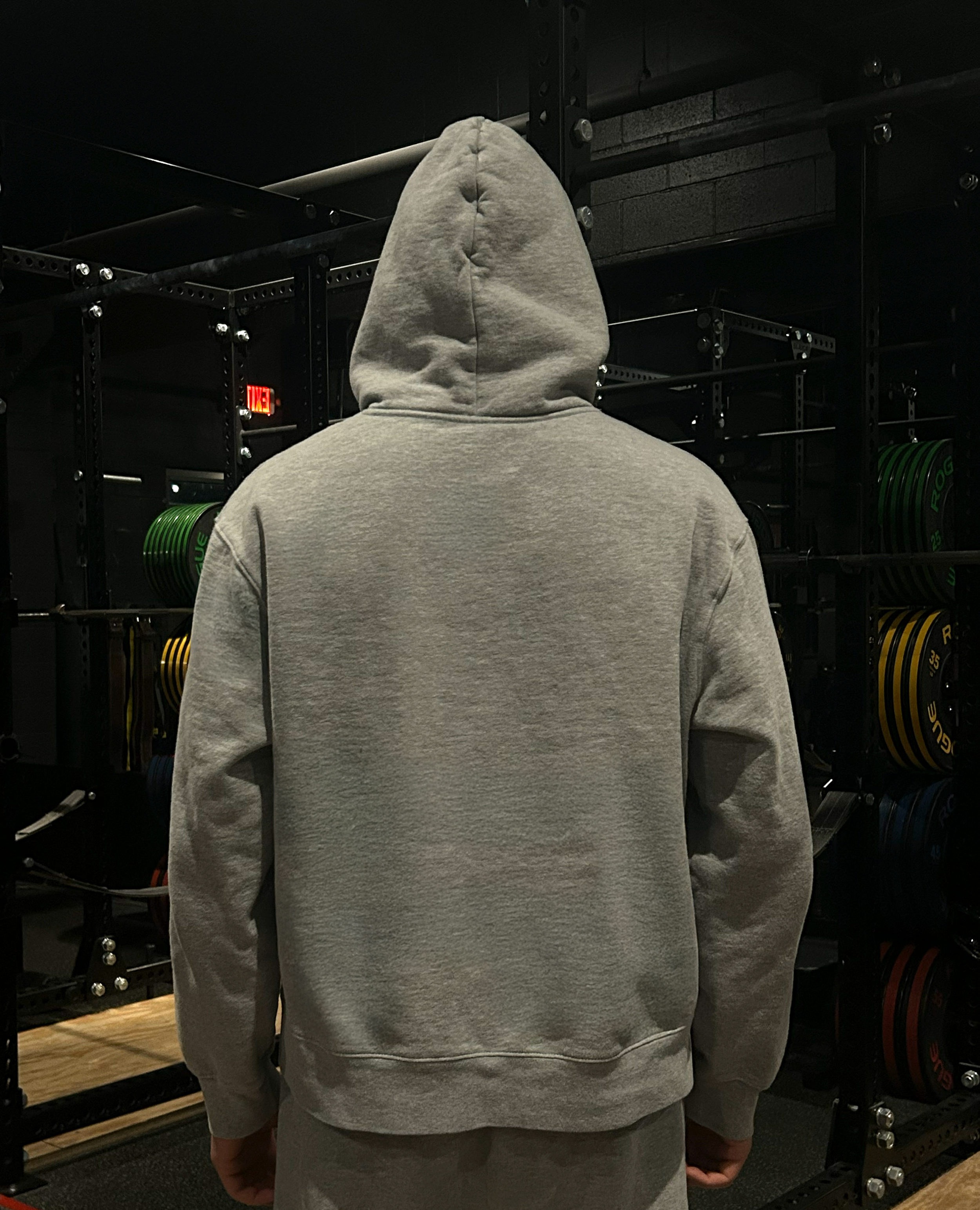 Hoodie-On-Person-Grey-Back-Hood-Up-Final.png