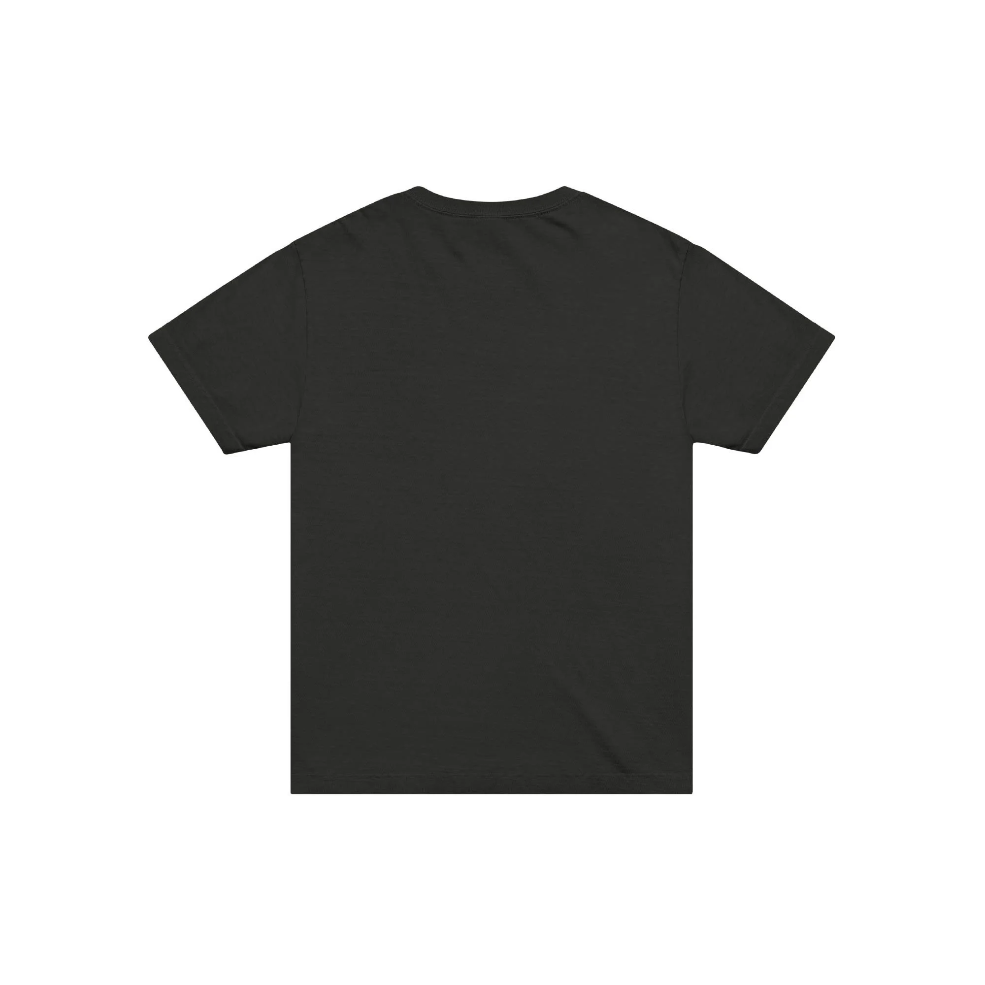 unisex-oversized-garment-dyed-t-shirt-washed-black-back-6a41817fe2511.jpg
