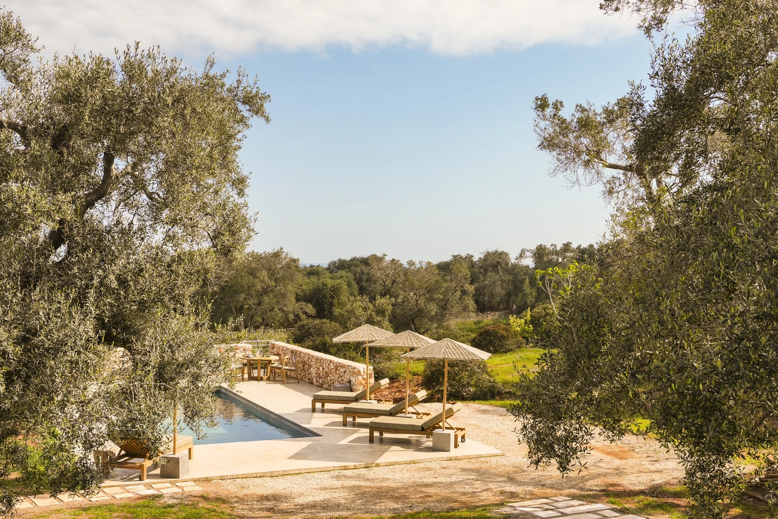 Outdoor pool area with lounge chairs and umbrellas surrounded by trees and greenery under a clear sky.