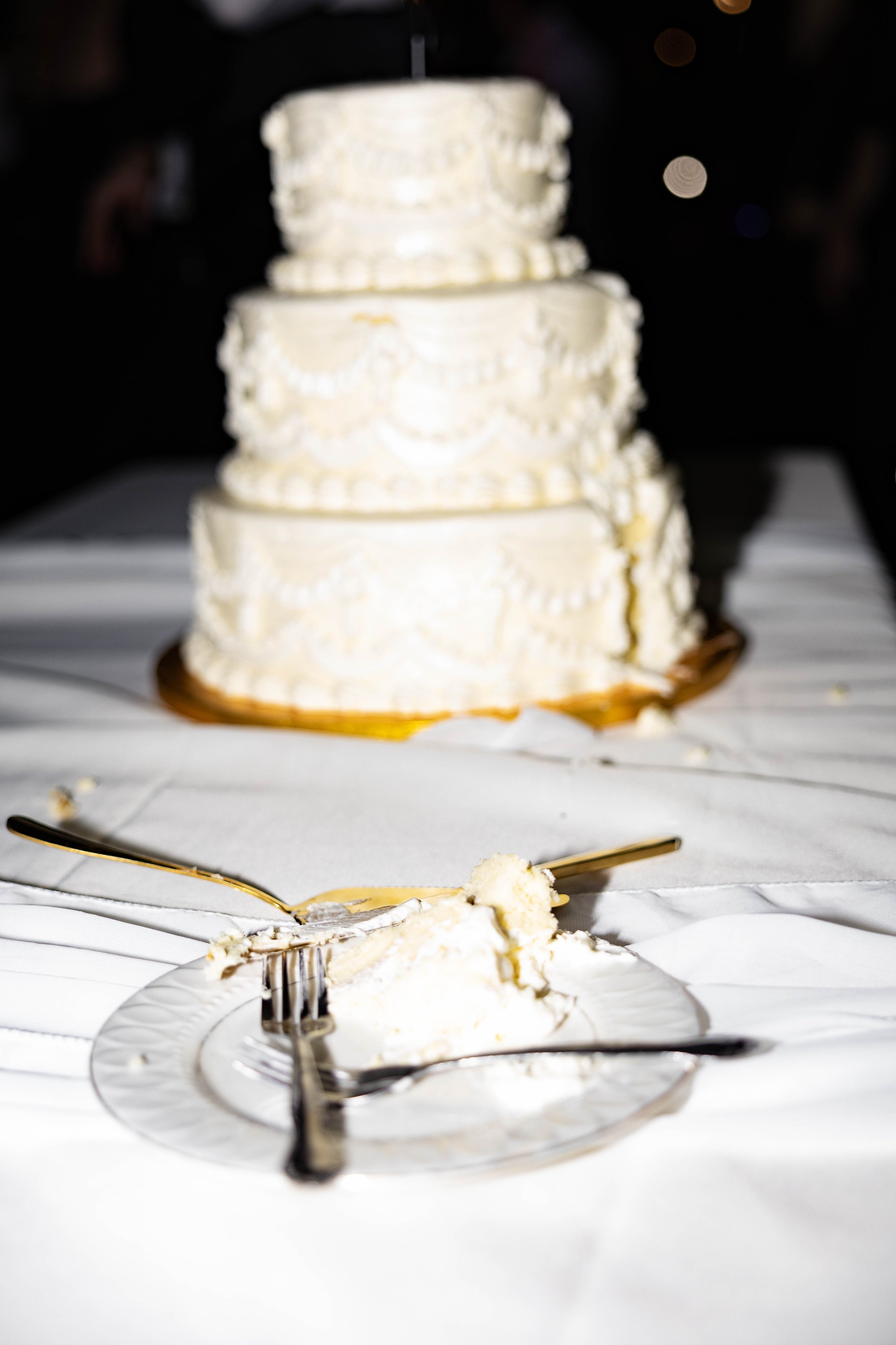 Tampa and Sarasota Florida Wedding Photographer specializing in luxury weddings, destination weddings, and Sarasota weddings. Capturing timeless moments and elegant portraits for couples in Tampa, Sarasota, and worldwide.