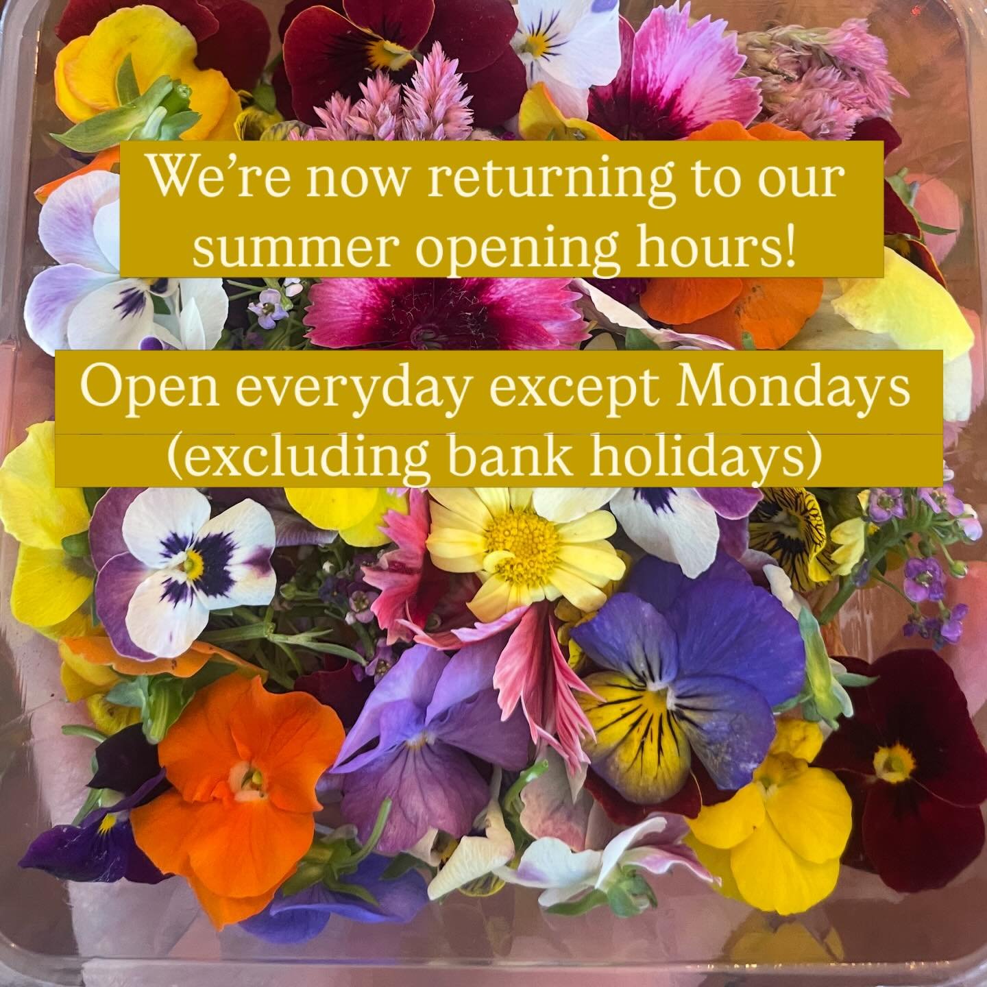 Opening hours:

Monday - closed (except bank holidays)
Tuesday 9.30-4
Wednesday 9.30-4
Thursday 9.30-10pm (pizza night)
Friday 9.30-10pm (restaurant and pizza night)
Saturday 9.30-10pm (restaurant and pizza night)
Sunday 9.30-4

#openinghours #theriv