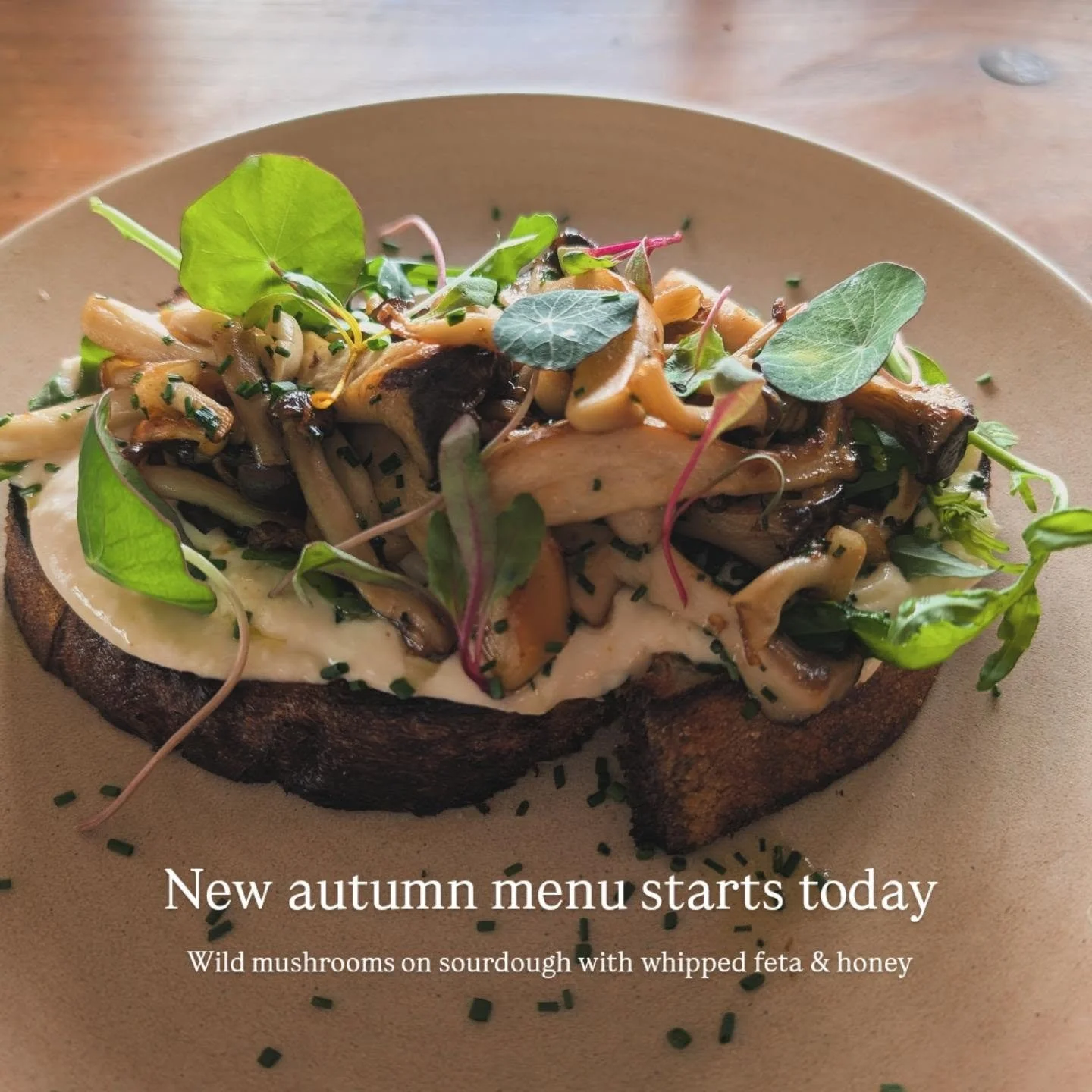 We have a lovely new autumn menu starting today! 

#autumnvibes 
#newmenu
#lunchtime 
#therivershackdevon