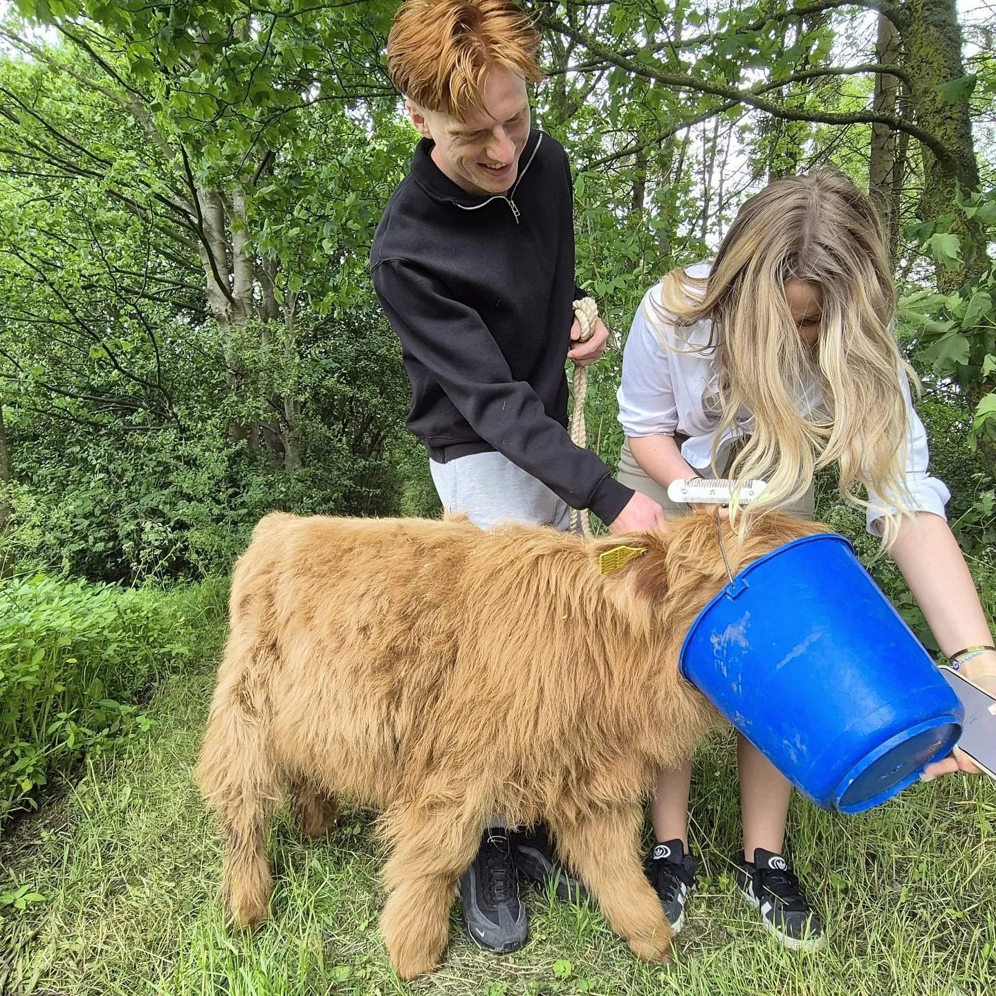 You can now buy Windmill Retreats vouchers instantly online, each one for a specific stay or experience the perfect gift for birthdays, anniversaries, or Christmas. ✨
Choose from:
🛏️ One or two-night countryside stays in our Geodomes or Shepherd&rs