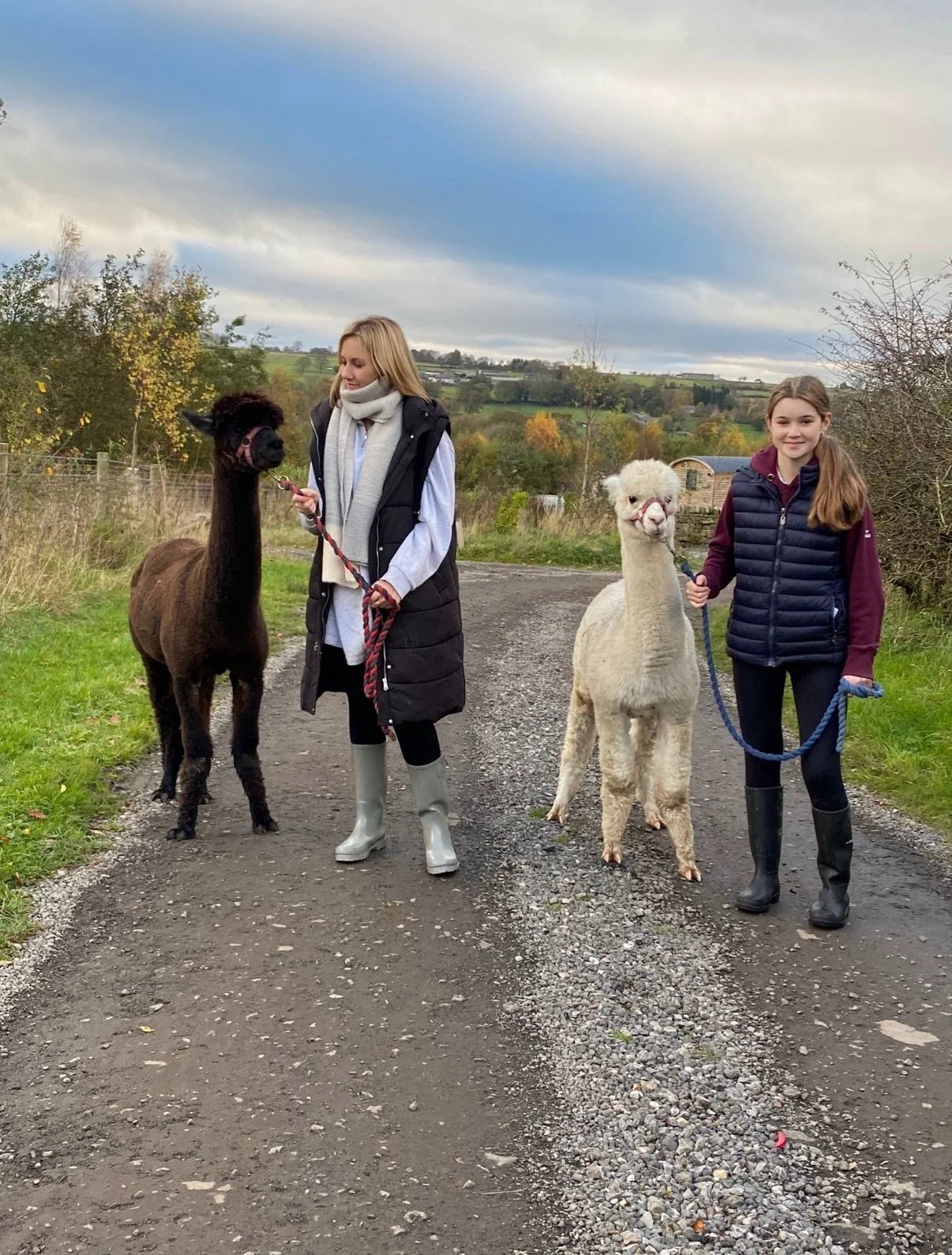 🐮✨ Introducing our NEW Extended Farm Experience!

Enjoy extra time, deeper interactions, and two incredible additions:

✨ A guided walk with a Highland cow calf
✨ A short alpaca walk
✨ Plus, choose which animals you&rsquo;d like to spend longer with