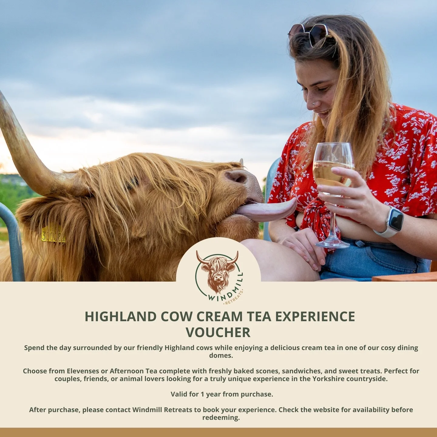 🎄⏰ Final chance today to buy your Windmill Retreats gift vouchers!

If you want a Christmas gift that really stands out, our Highland Cow Afternoon Tea voucher is a favourite for a reason 🐮🫖 It&rsquo;s one of our most popular experiences calm coun