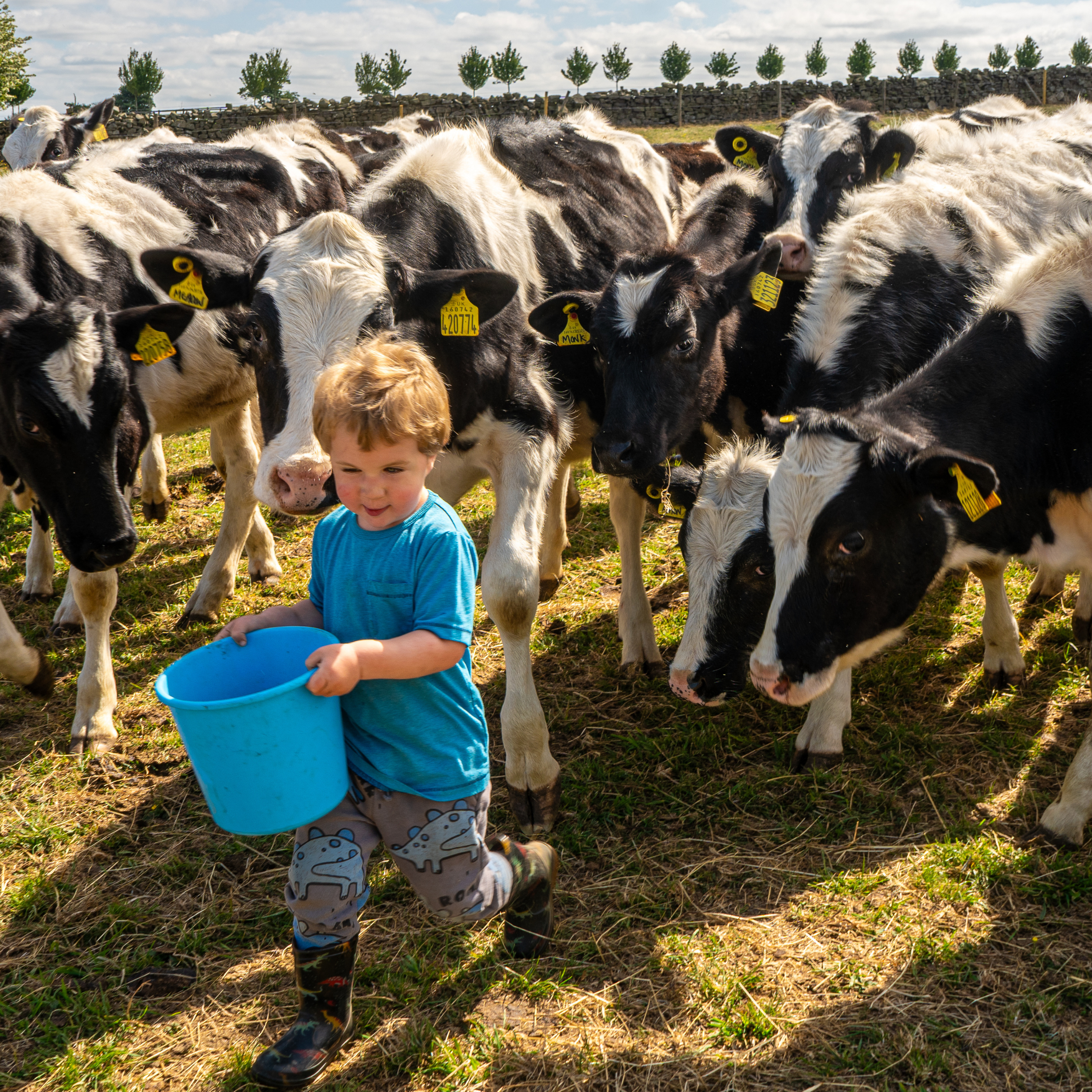 Beige and White Be Yourself Square Pillow.png