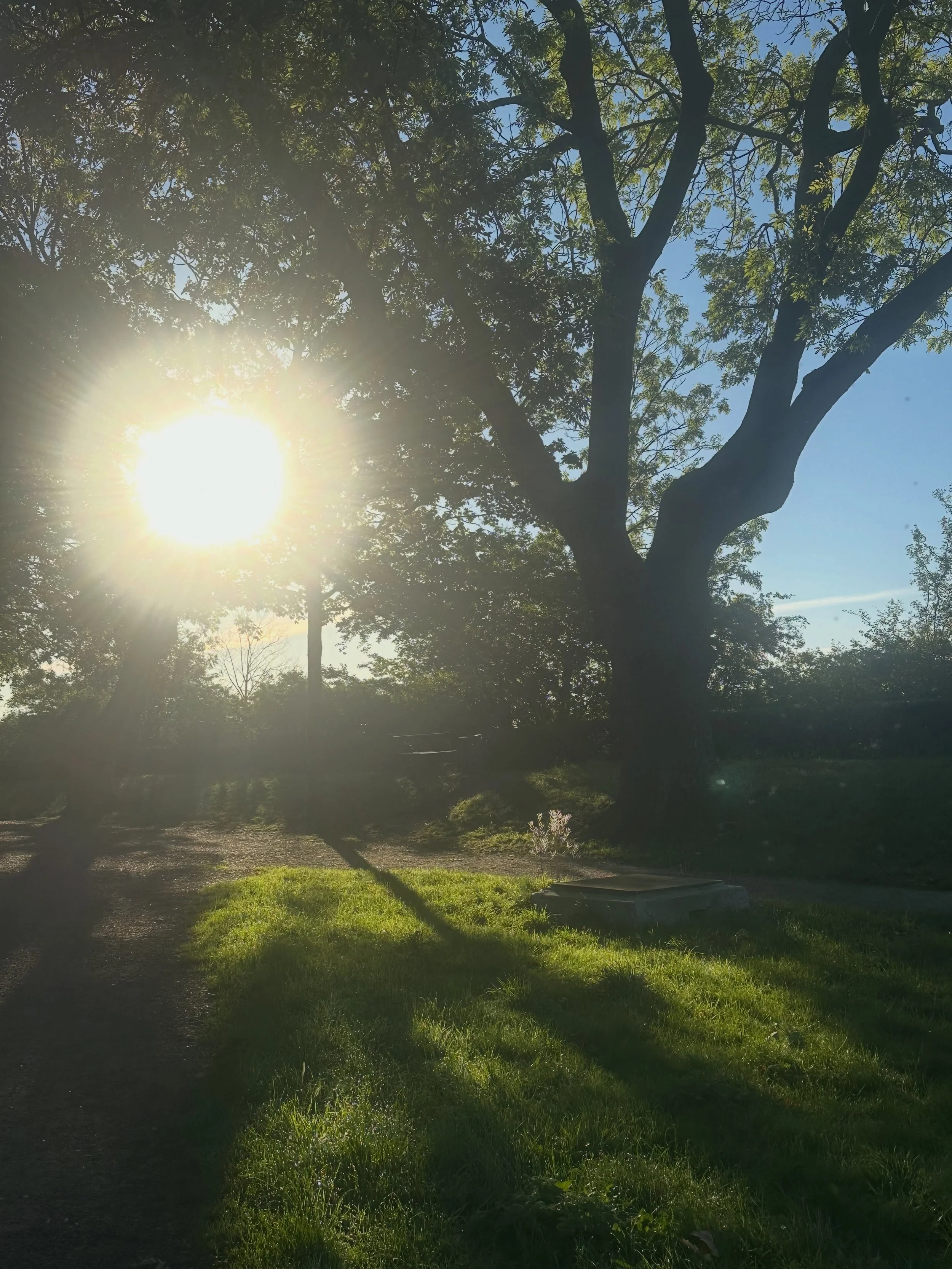 Golden September days at the mill ✨💛
