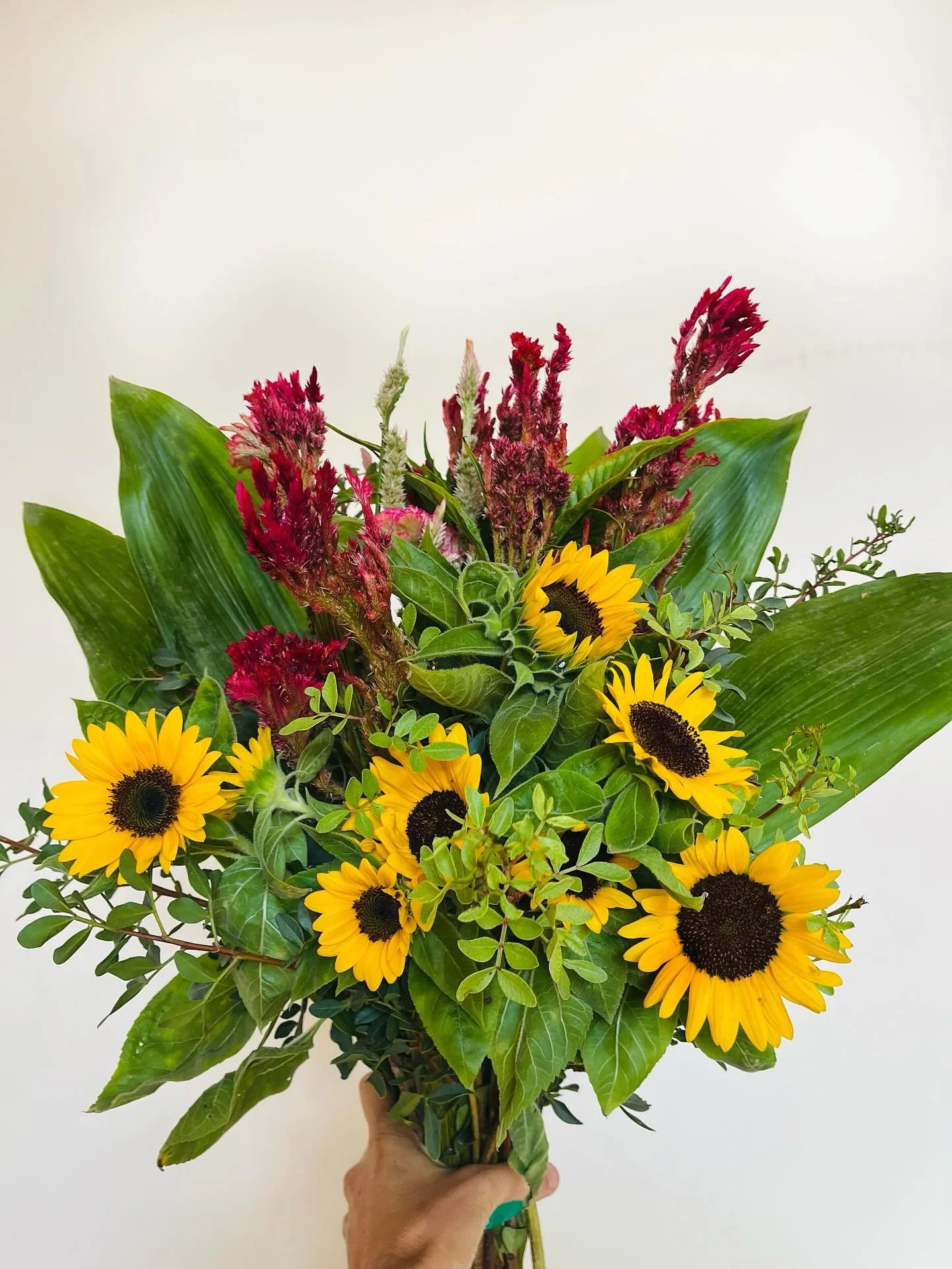 Fresh from our greenhouses to your vase 💐 Seasonal flowers, brighten every day 🌟 #medflowers #floriculture #seasonalflowers