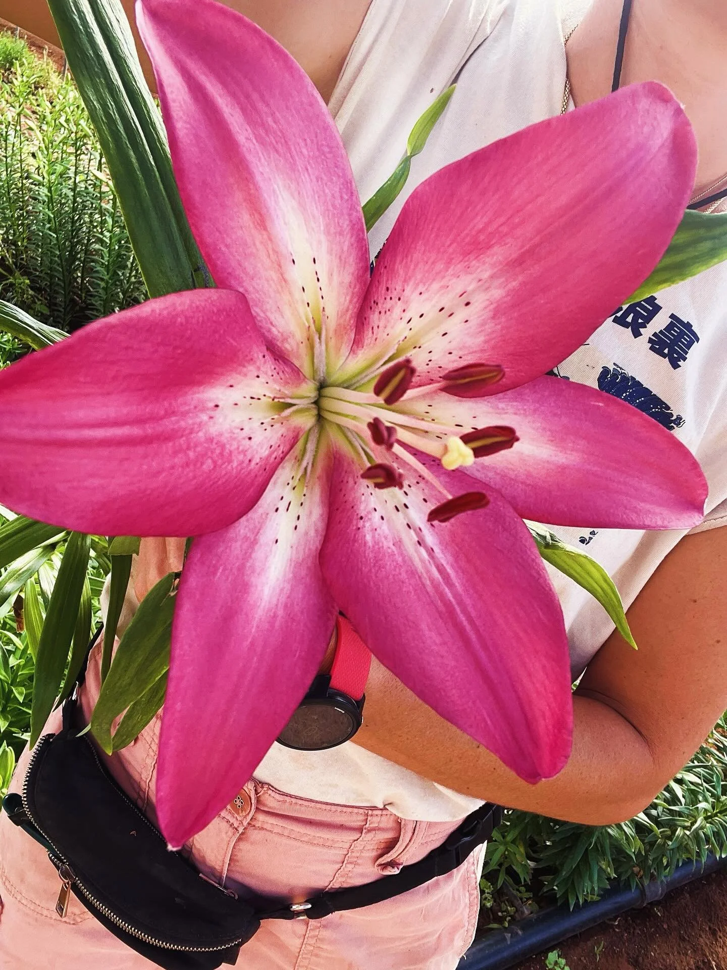 Growing isn’t always easy, but the results are worth it! ⭐ #growerslife #lilies #fromsoiltovase