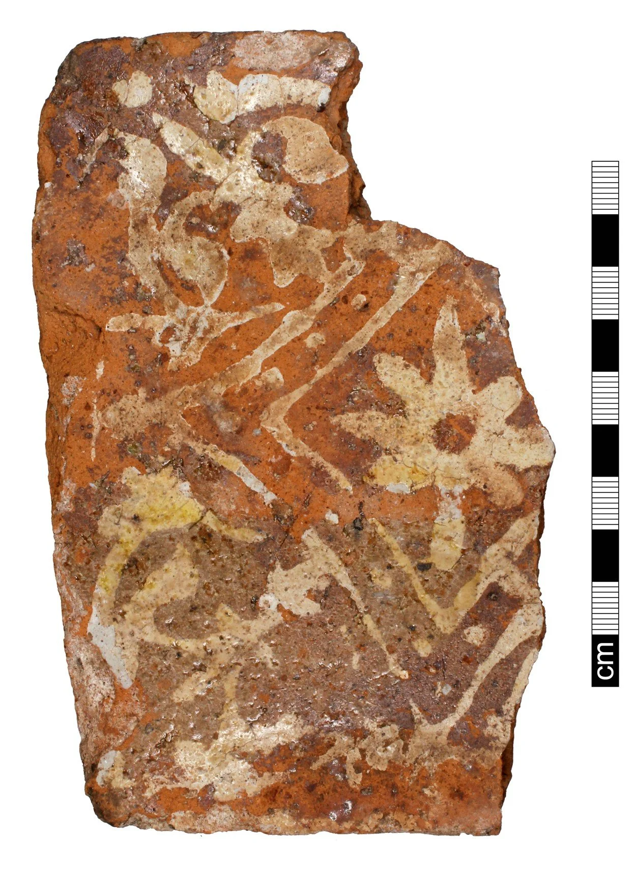 ACD2849_tile_2.jpg
