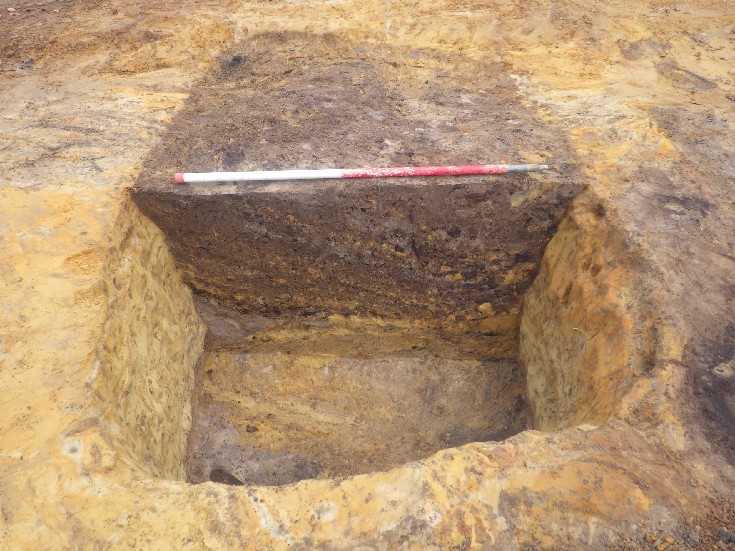 Plate 7. Pit Group 1, pit F1125. View to northeast (scale 1m).JPG