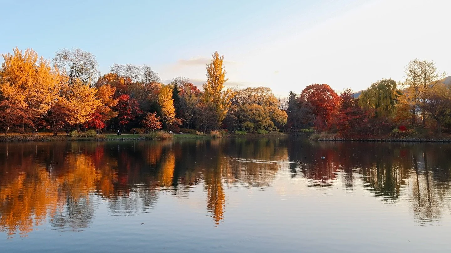 🍁 Nakajima Park is one of my favorite autumn foliage spots in Sapporo. The colors right now are beautiful! Everything&rsquo;s gold and red and it just feels so calm. Perfect place to take a walk and just breathe! 

📍Nakajima Park, Sapporo

✈️ Plann