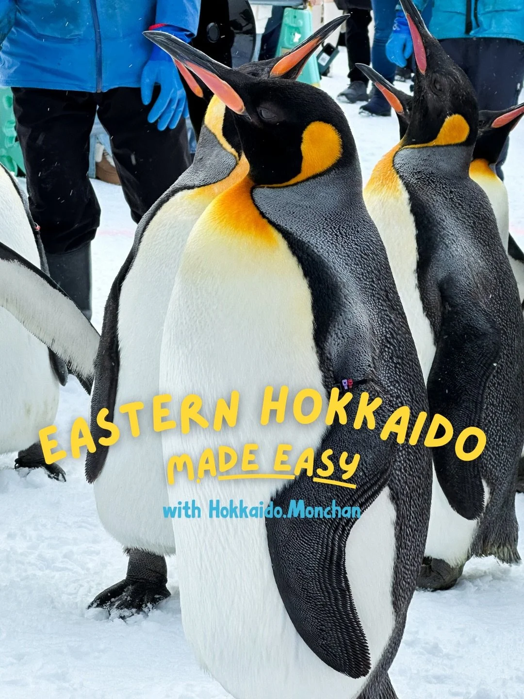 Central &amp; Eastern Hokkaido in Winter, without a car! 🚌

Even as a Hokkaido local, I rarely go to Eastern Hokkaido because it&rsquo;s far from Sapporo. This time I joined a winter bus tour with @hokkaido.monchan, and it was so convenient!

✅ No w