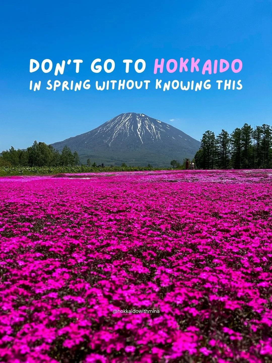Don&rsquo;t go to Hokkaido in spring without knowing this 🌸

If you&rsquo;re planning a Hokkaido trip, save this.

Spring here is different from the rest of Japan. Cherry blossoms bloom later, it&rsquo;s still cold (and very windy), and timing your 