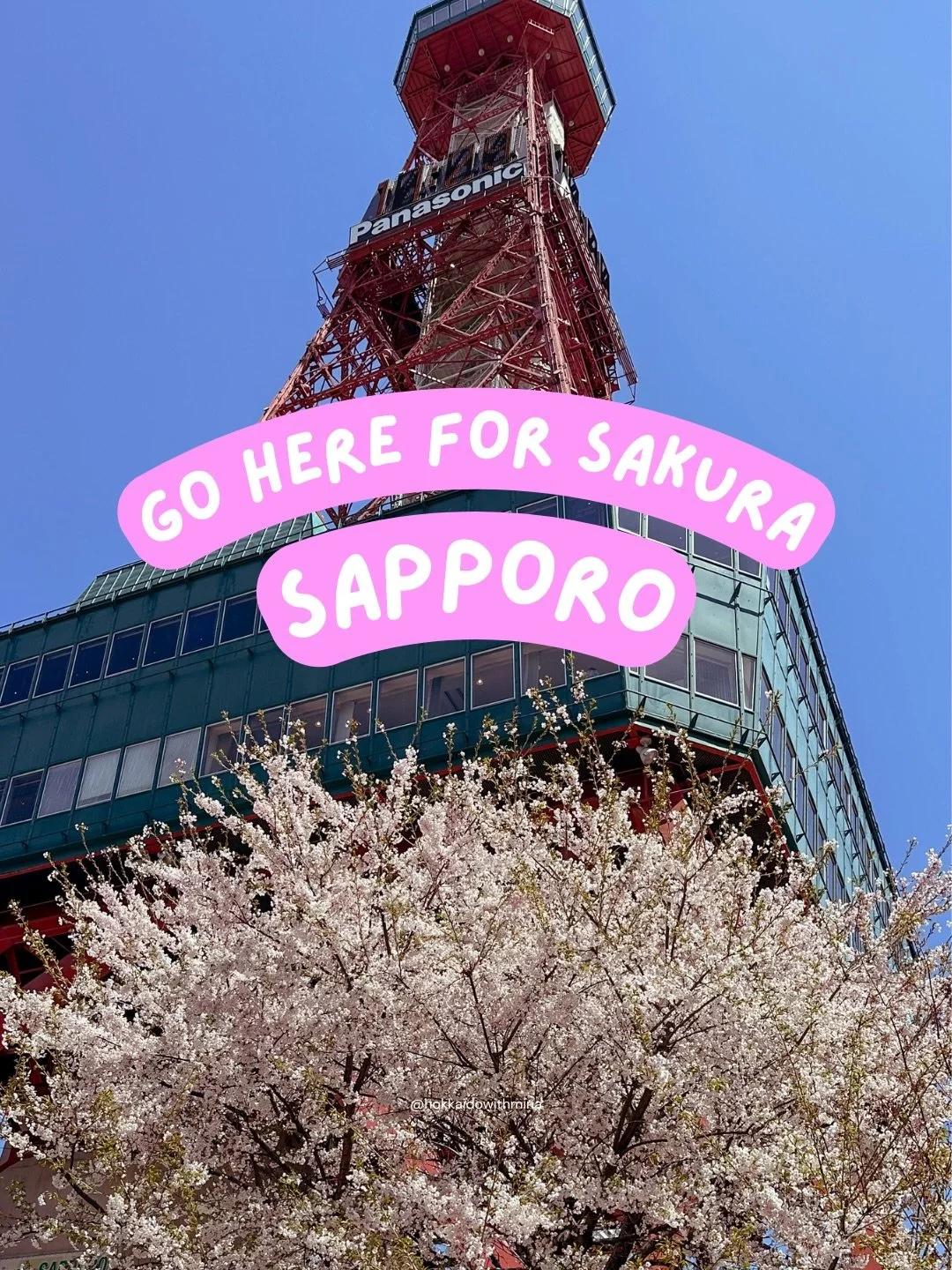Cherry blossom season is finally HERE in Hokkaido 🌸🇯🇵

If you&rsquo;re looking for the best cherry blossom spots in Sapporo, these are some of the easiest places to visit and enjoy sakura in the city:

📍 Odori Park
📍 Hokkaido Shrine
📍 Maruyama 