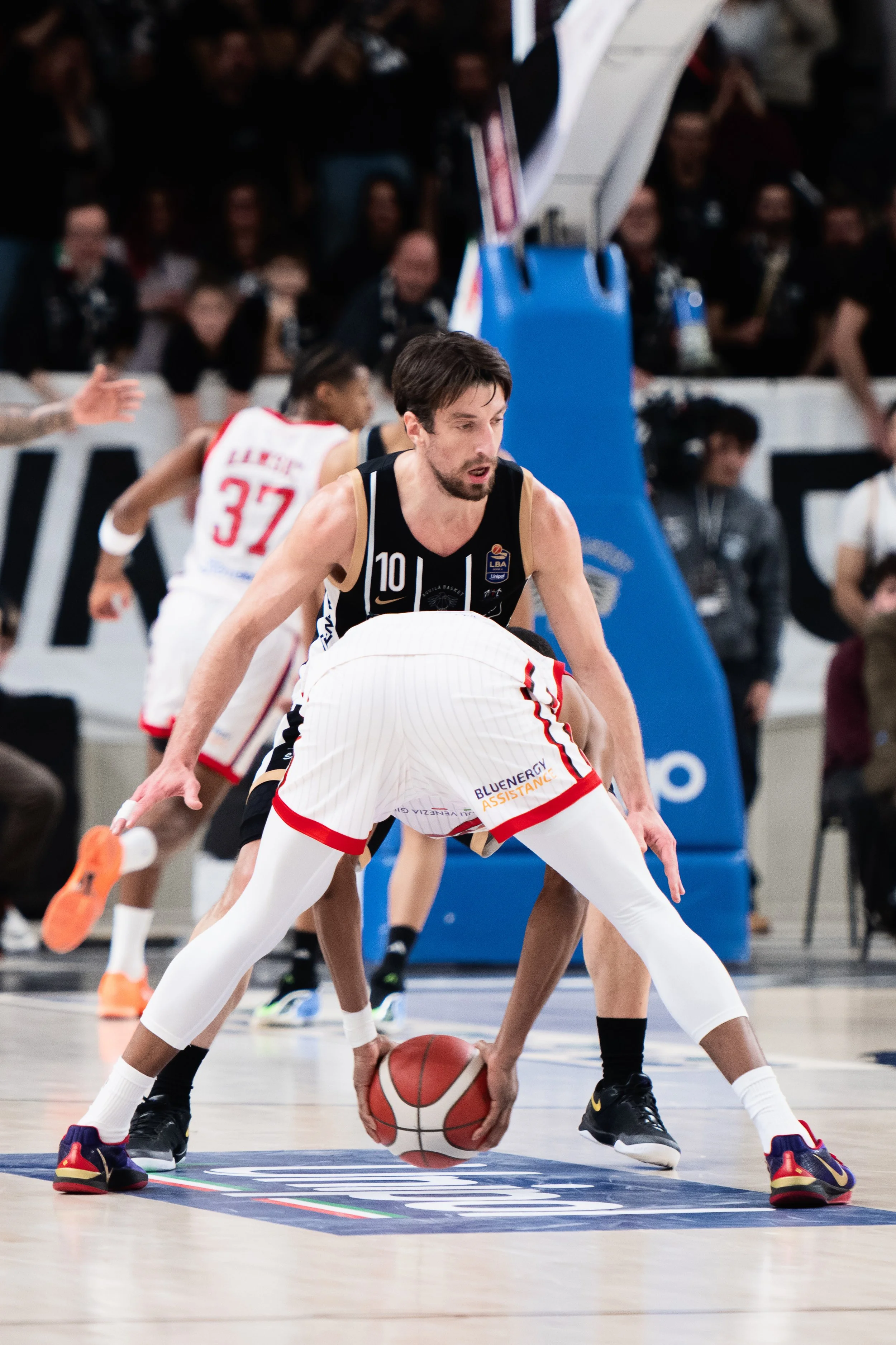 DSC_2014-2 copia.jpg