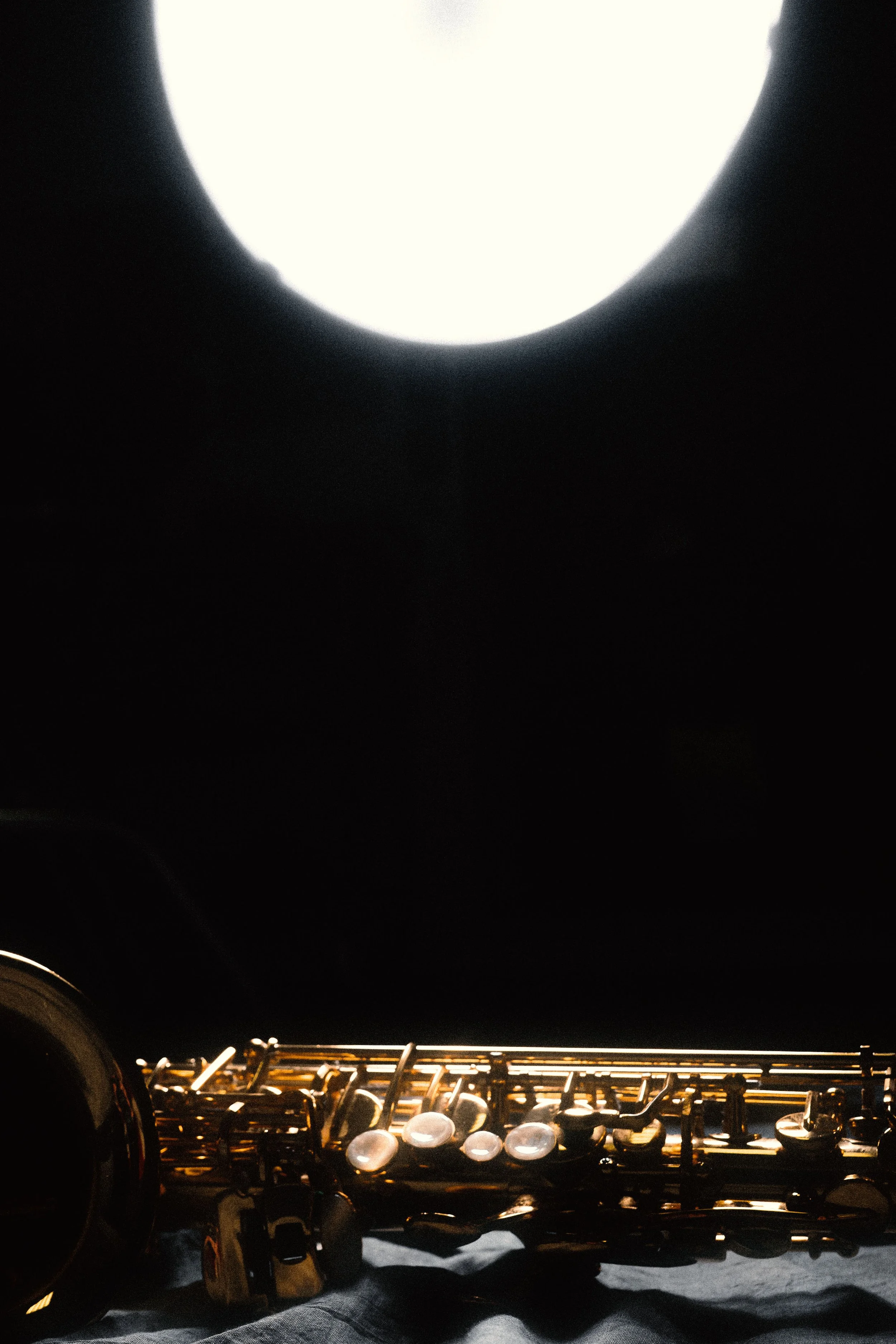 DSC_2311-2 copia.jpg