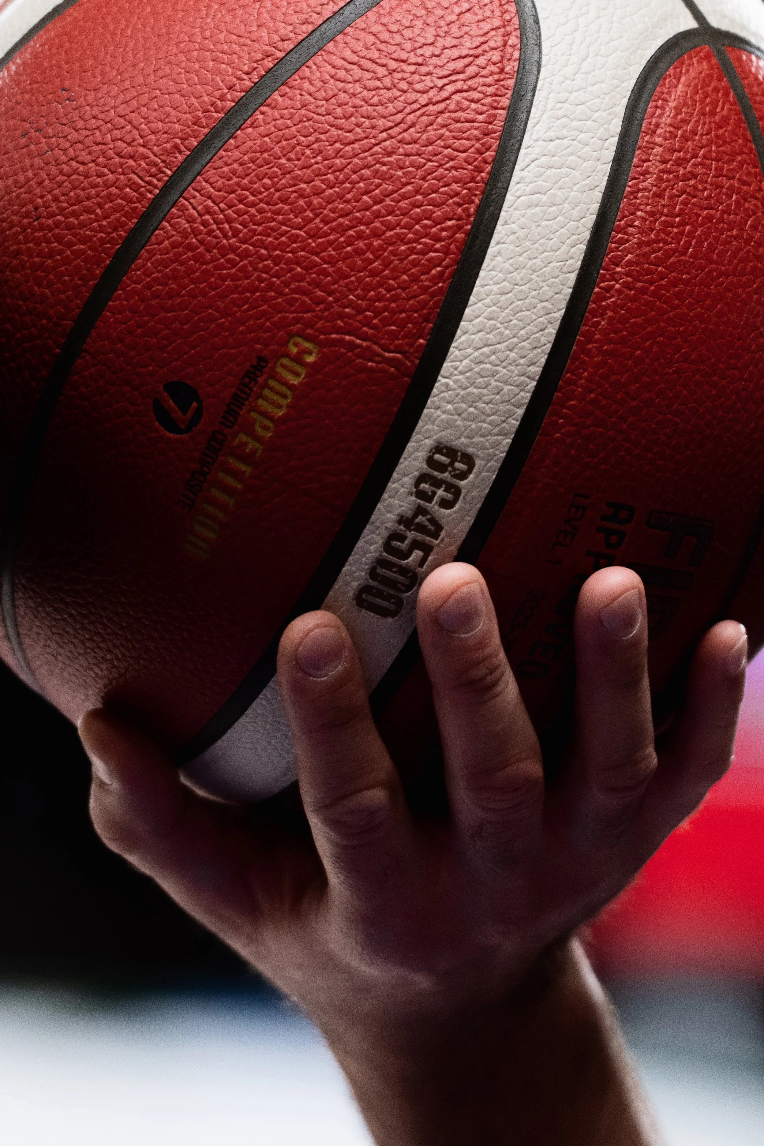 DSC_1564-2 copia.jpg