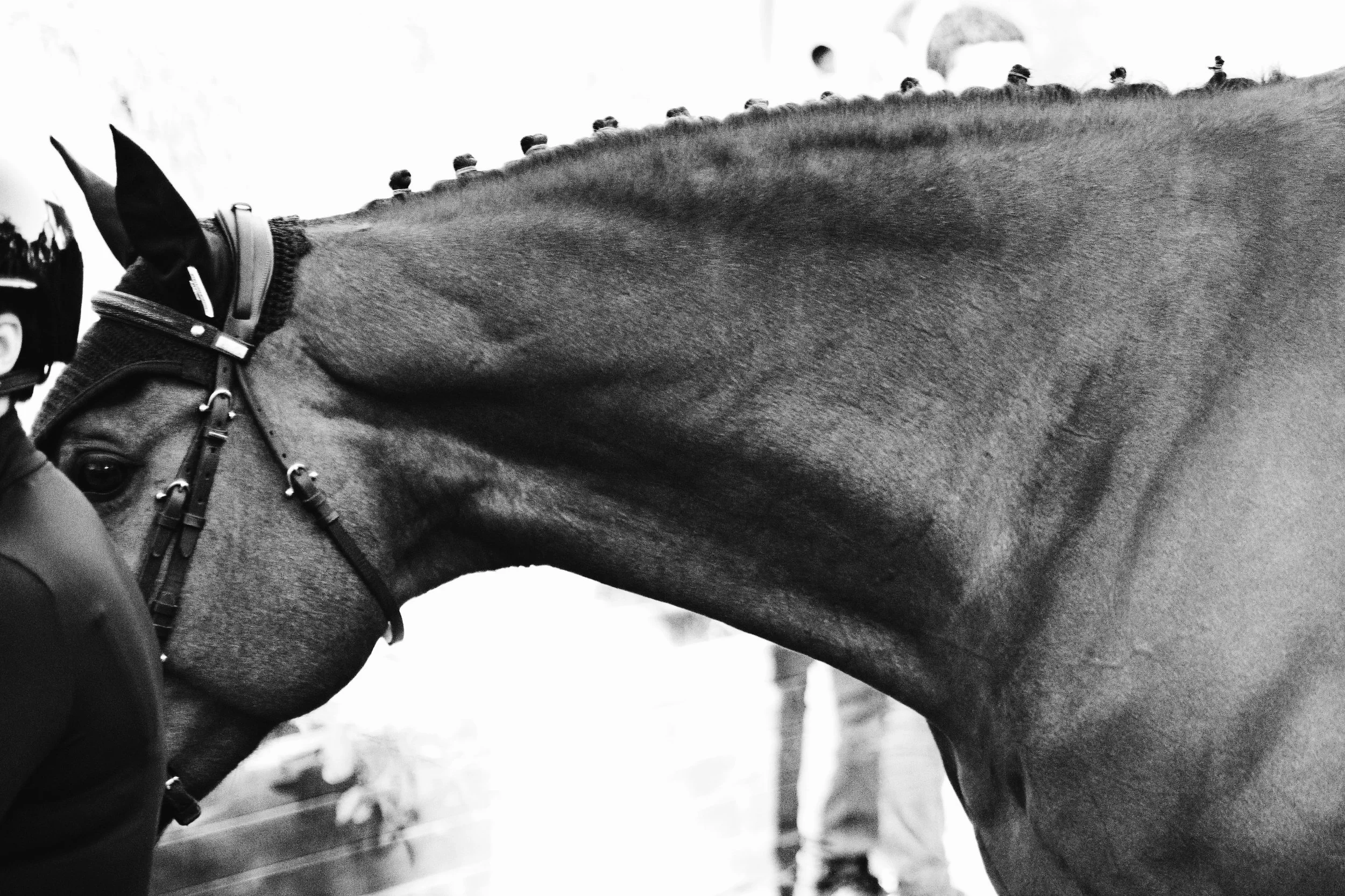 DSC_5096-2 copia.jpg