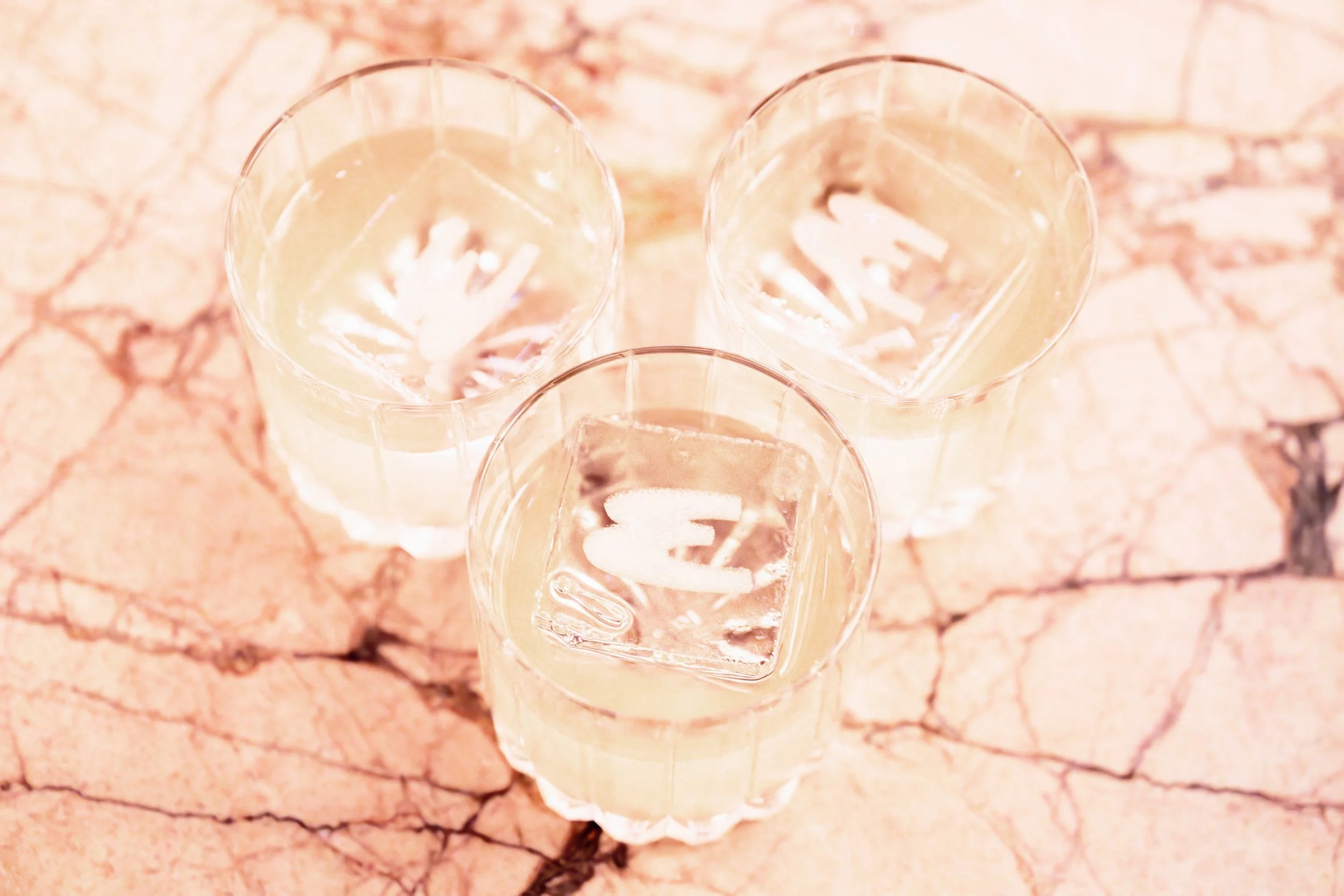 EsquireFranceLaunchParty57.jpg