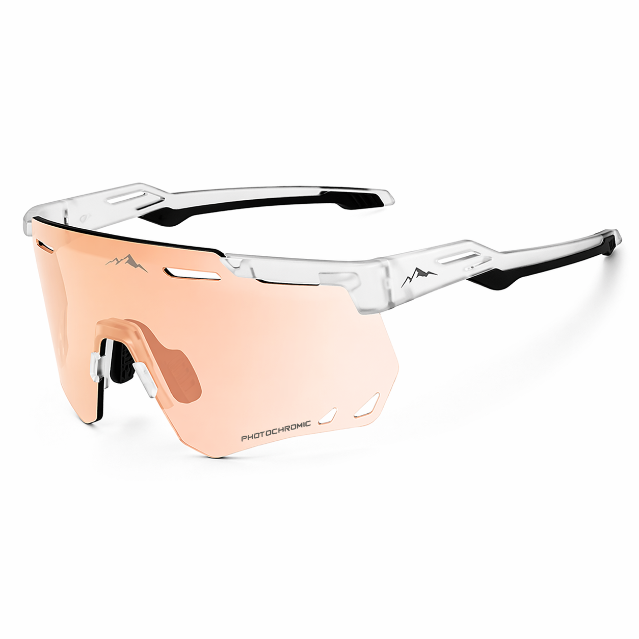 Shadow Transparent.png