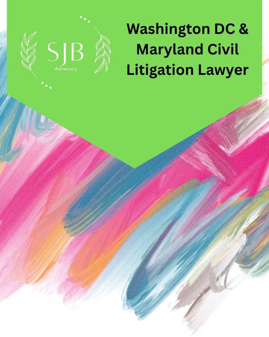 Washington DC &amp; Maryland Civil Litigation Lawyer