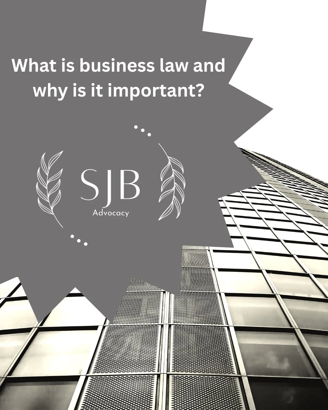 What is business law and why is it important?