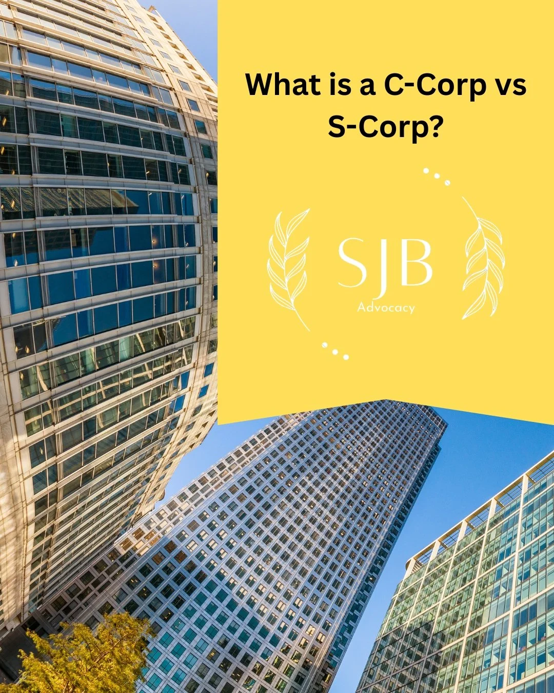 What is a C-Corp vs S-Corp?