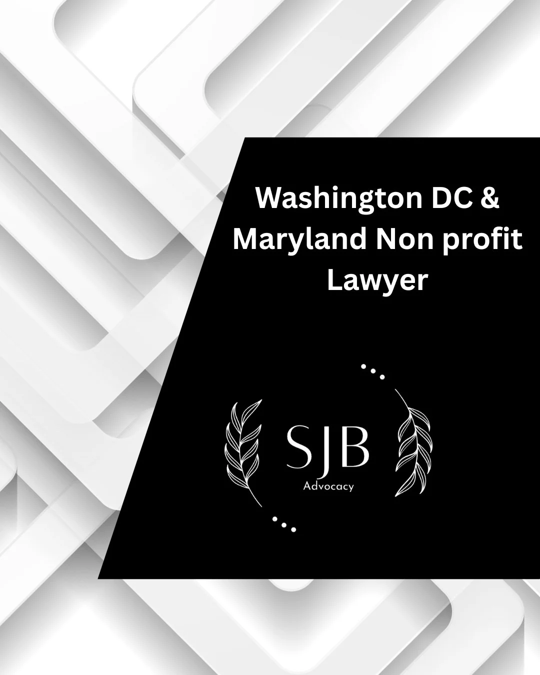 Washington DC &amp; Maryland Non profit Lawyer