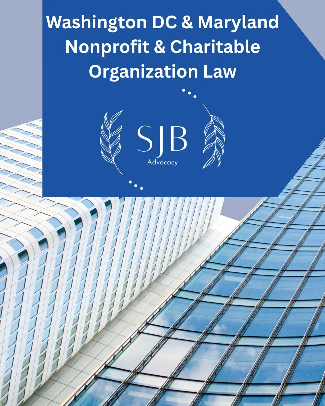 Washington DC &amp; Maryland Nonprofit &amp; Charitable Organization Law
