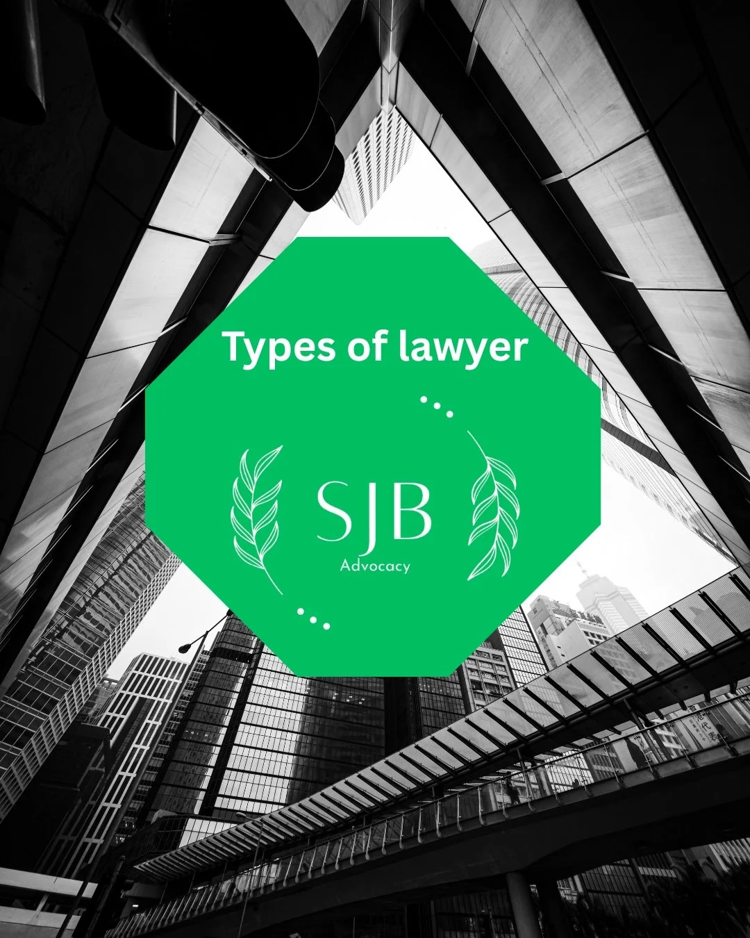 Types of lawyer