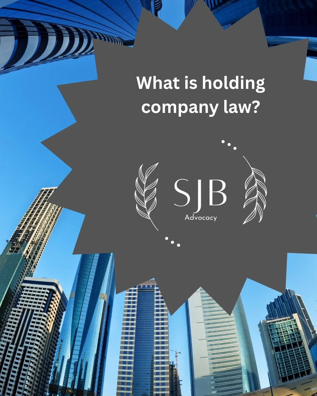 What is holding company law?