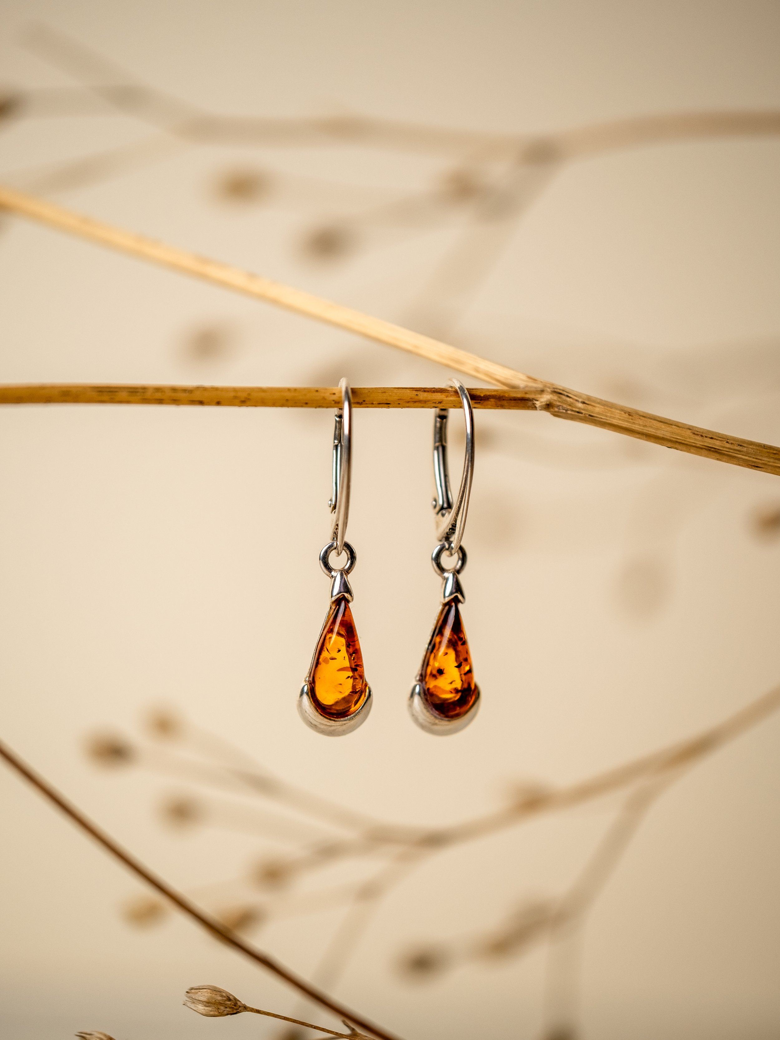 Silver earrings with amber teardrop-shaped stones hanging from a thin branch.