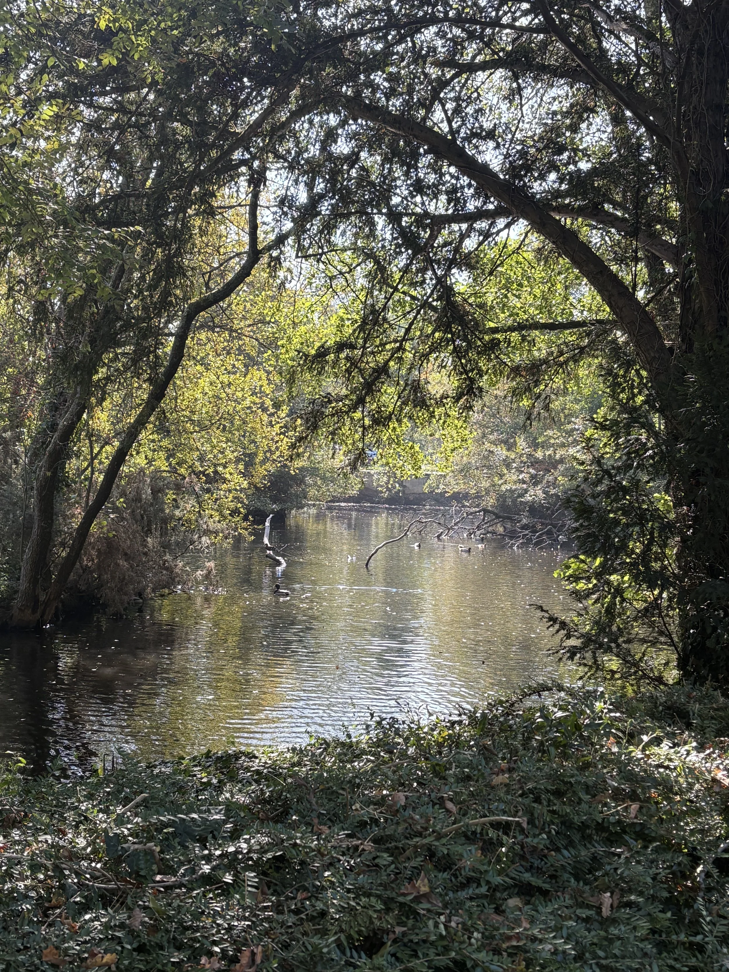 Vers une écoute sensible des paysages sonores en santé intégrative