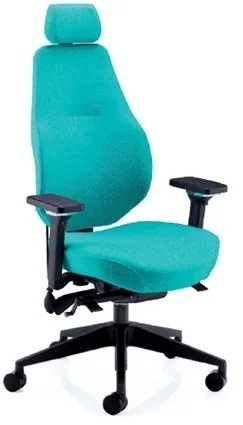 ergo chair.jpg