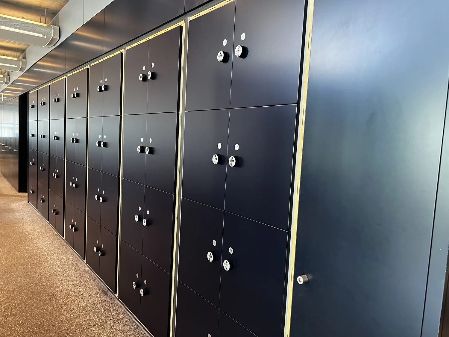 Bespoke Locker 2.jpeg