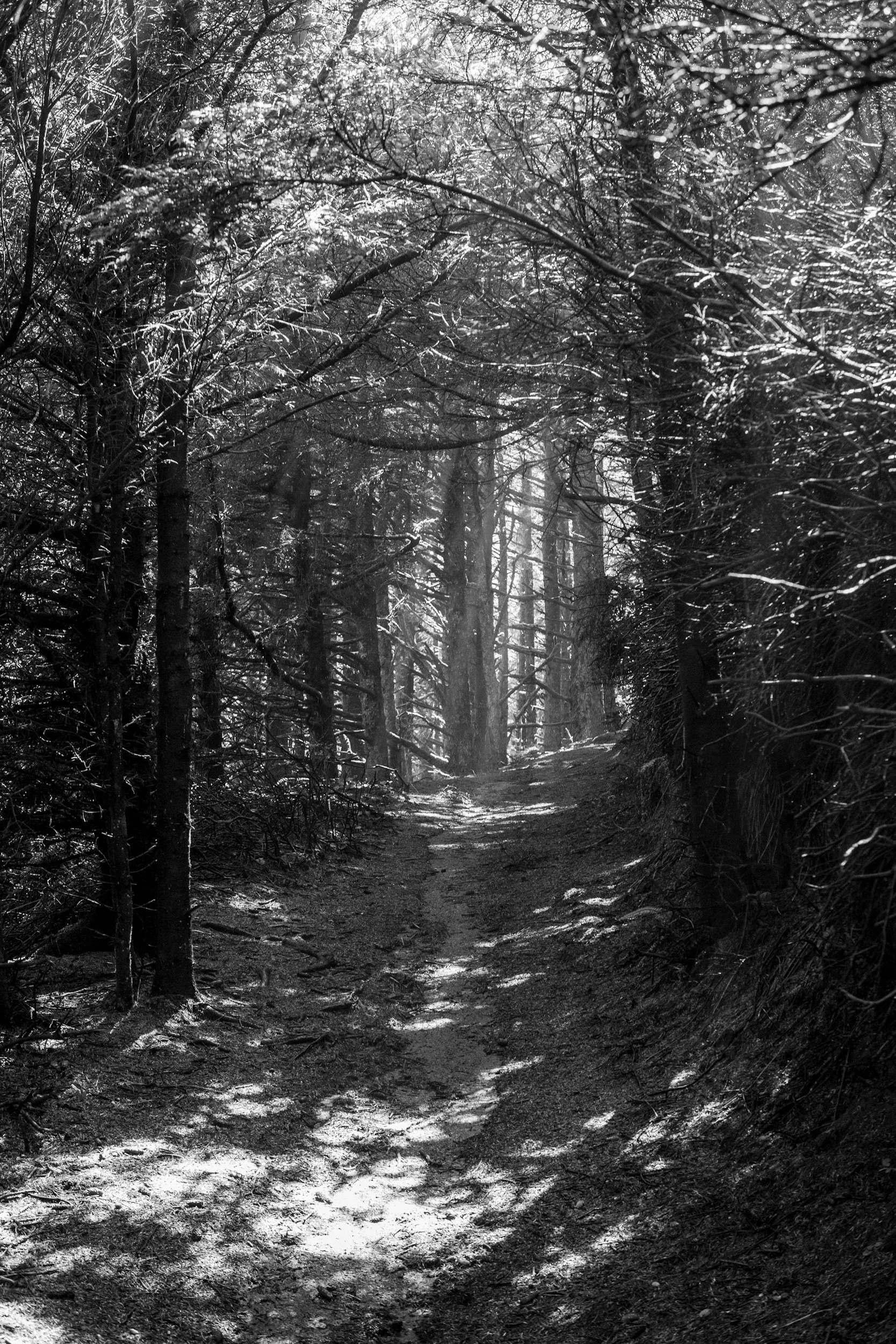 The Way Through a Triggered Moment