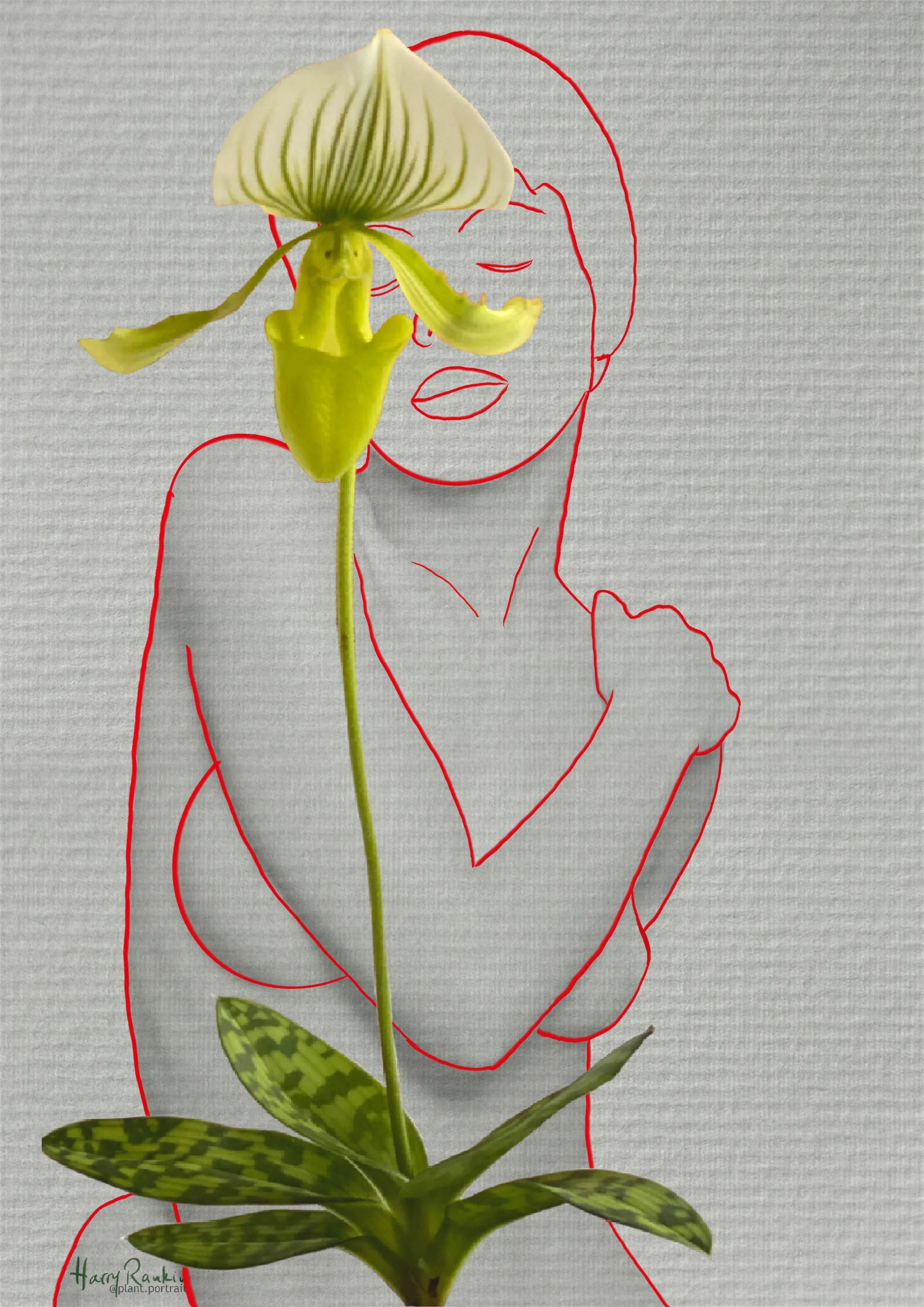 Orchid Hug.jpg