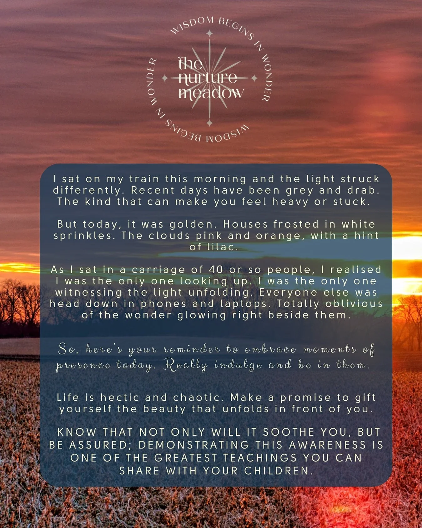 Stop the chaos of the rat race and be here now. 

Read this, then put down your phone and just be. Even if just for a moment. You deserve it. 💛

And not only that, but demonstrating the ability to pause and to embrace the absolute present is such a 