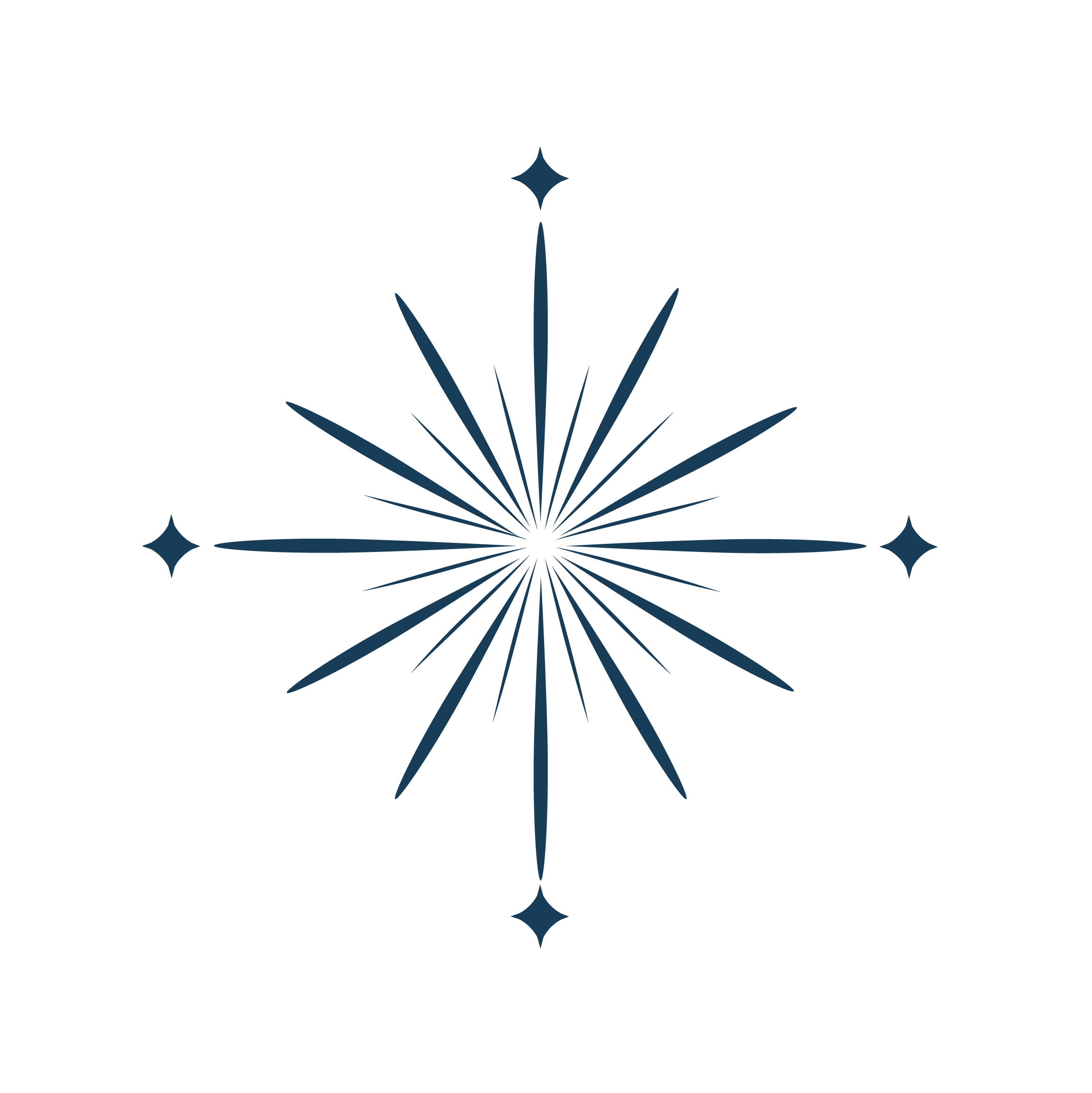 TNMThe Nurture Meadow Symbol Deep@8x.png