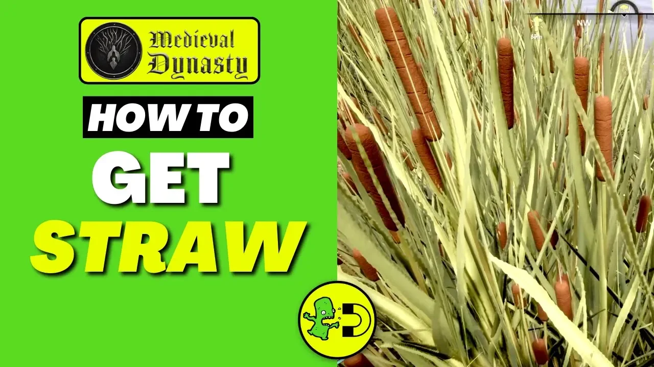 Medieval Dynasty How to Get Straw