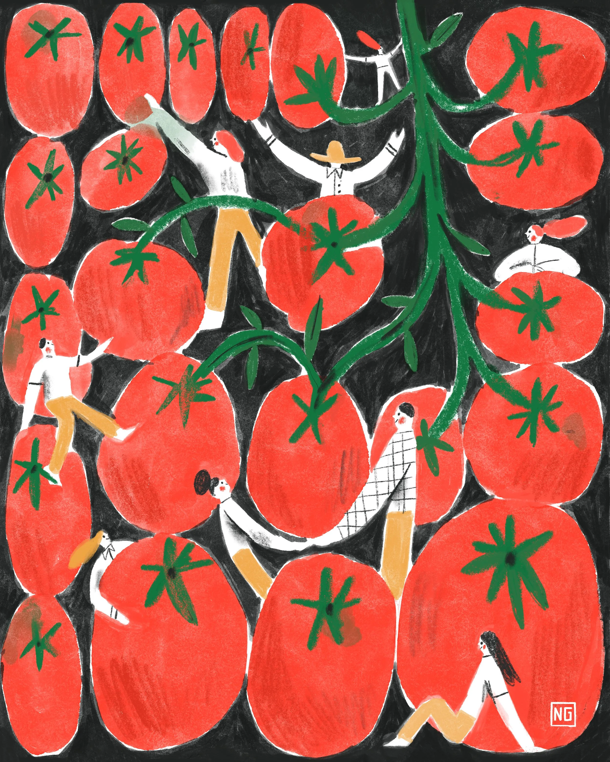 Rojo tomate / red tomatoe